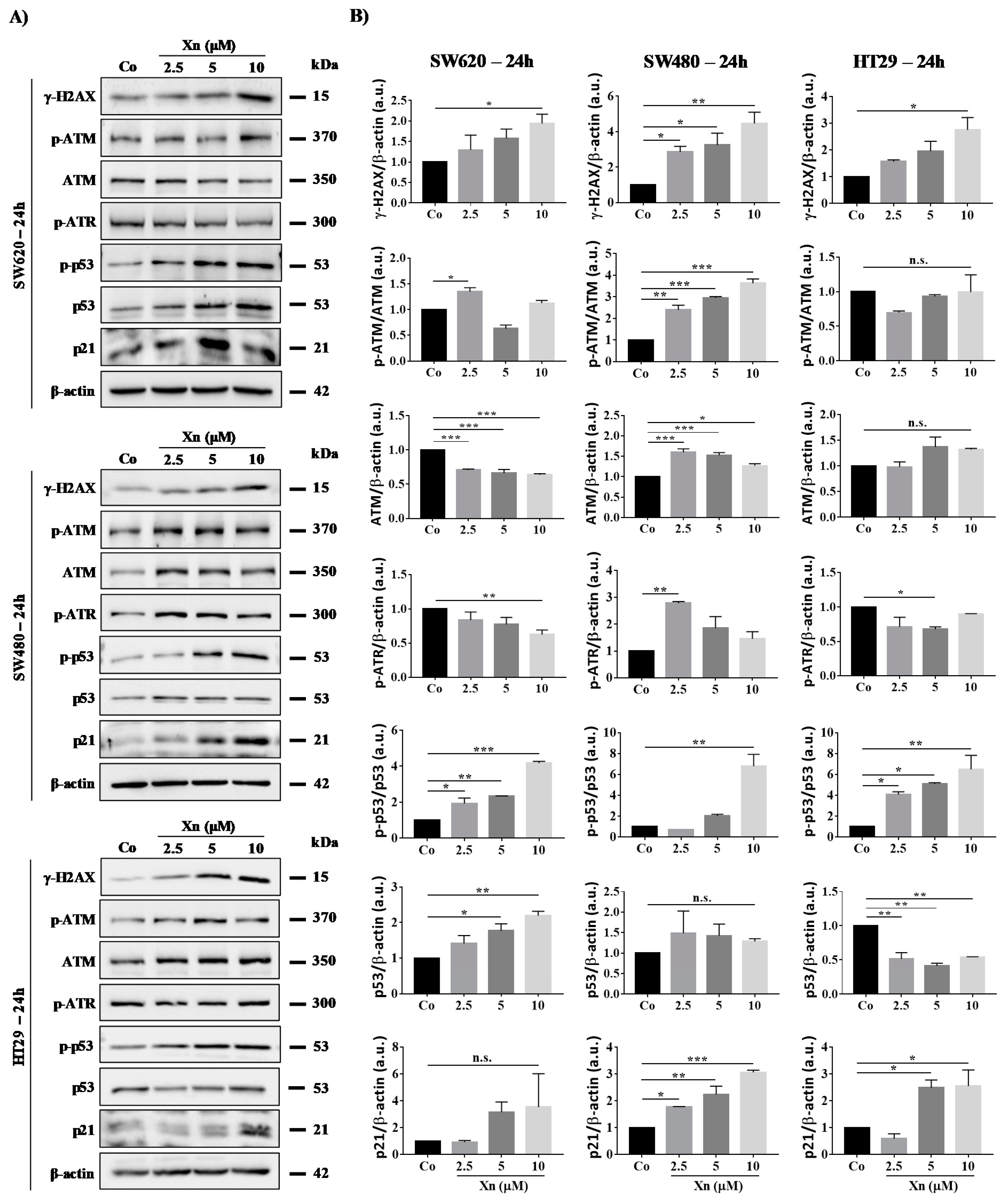 Cells 09 00932 g005 Cells 09 00932 g005