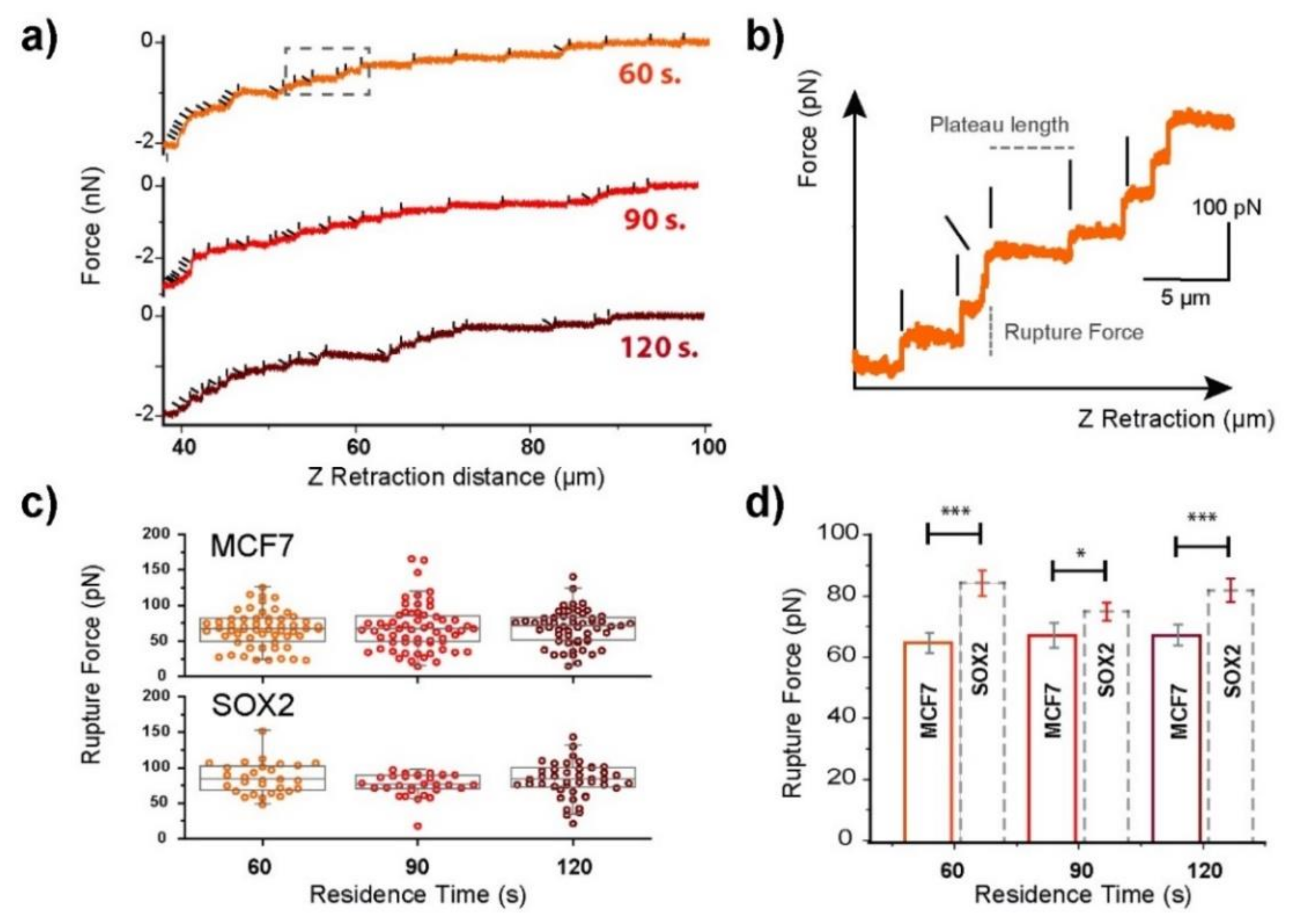 Cells 09 00935 g003 Cells 09 00935 g003
