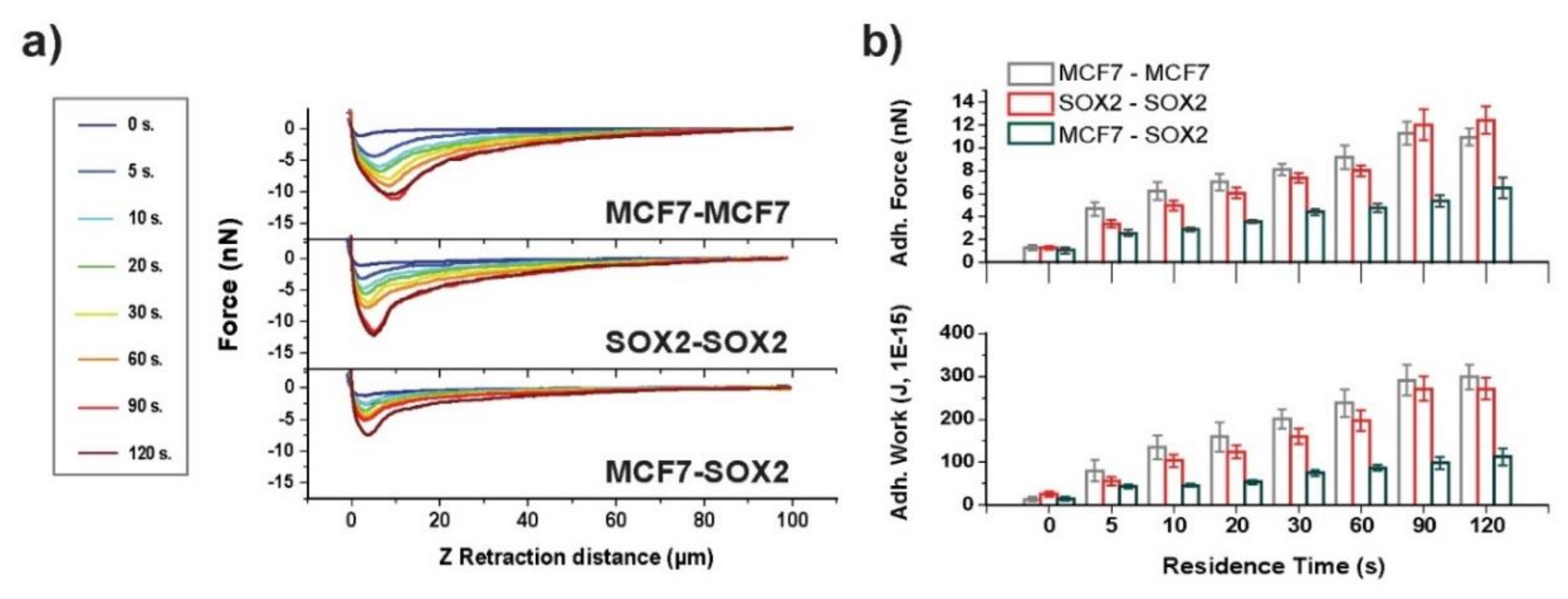 Cells 09 00935 g005 Cells 09 00935 g005