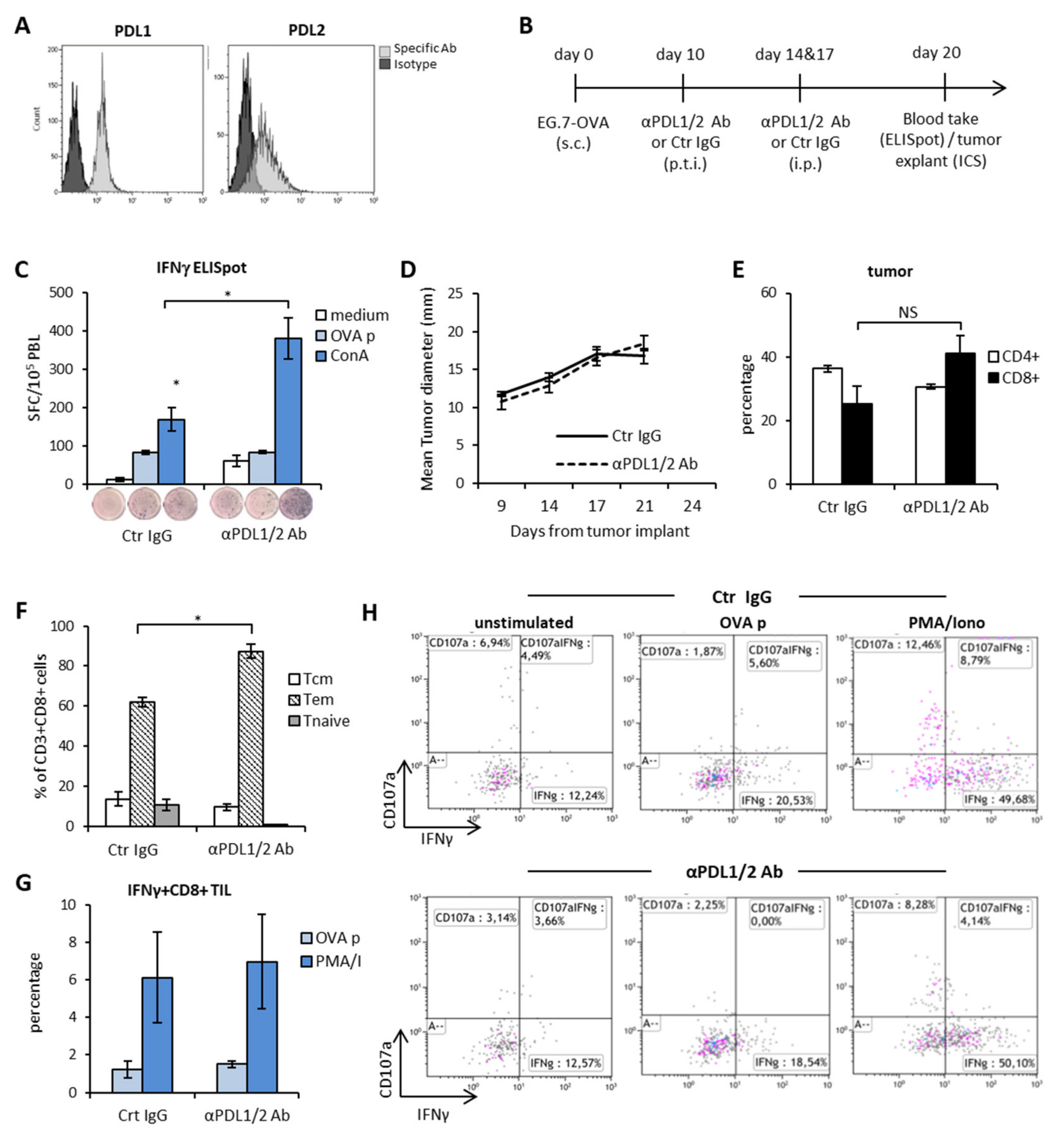 Cells 09 00940 g001 Cells 09 00940 g001