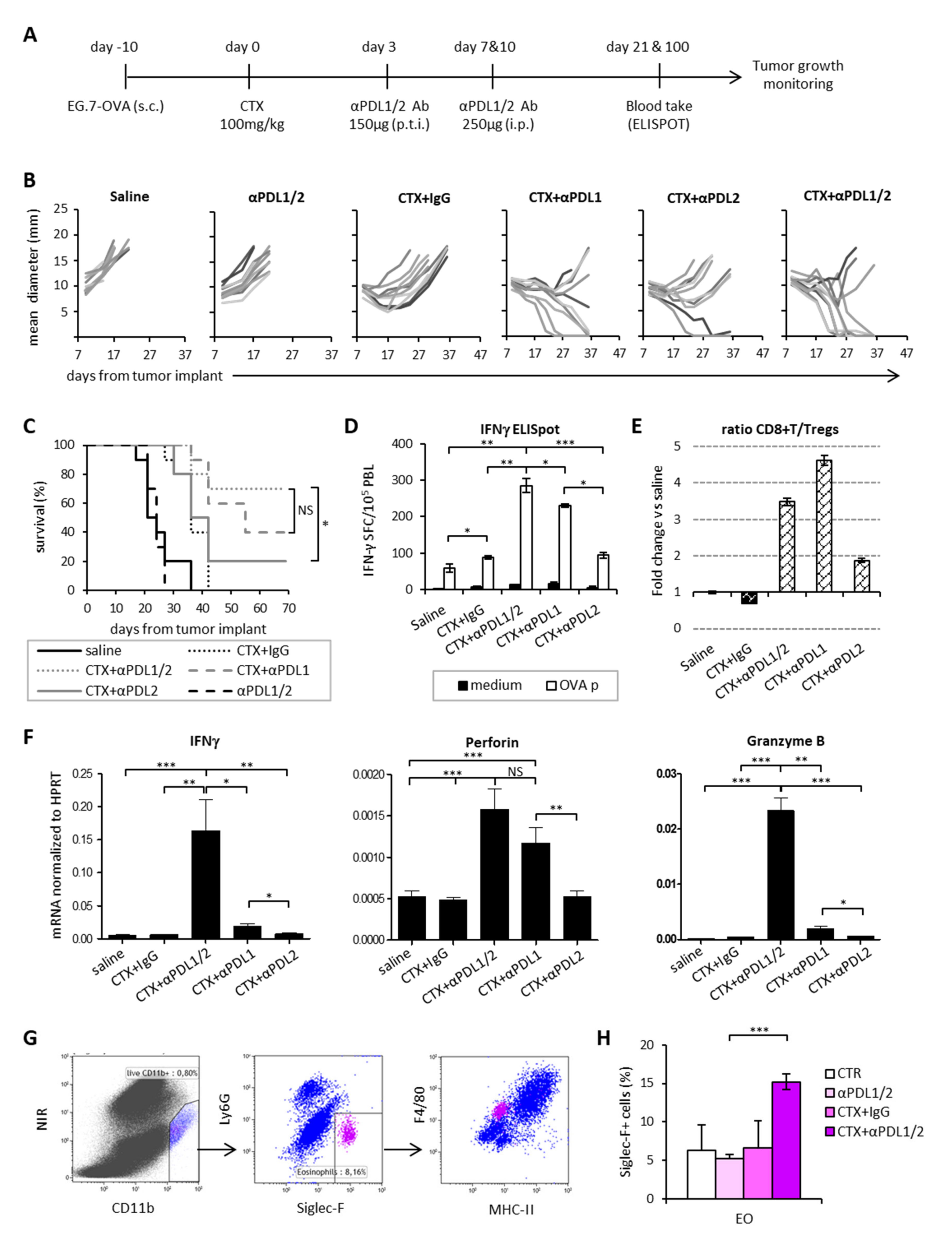 Cells 09 00940 g004 Cells 09 00940 g004