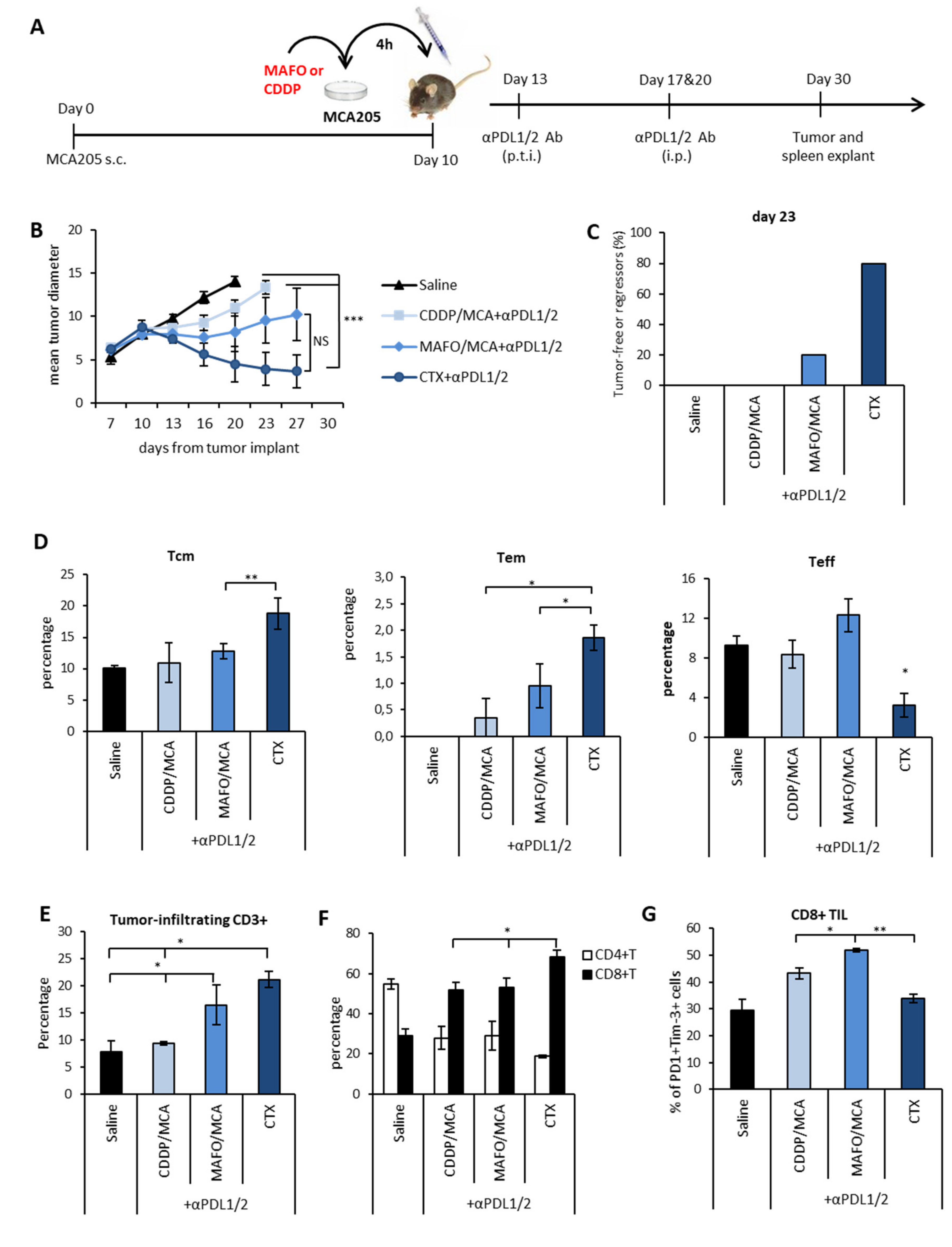 Cells 09 00940 g006 Cells 09 00940 g006