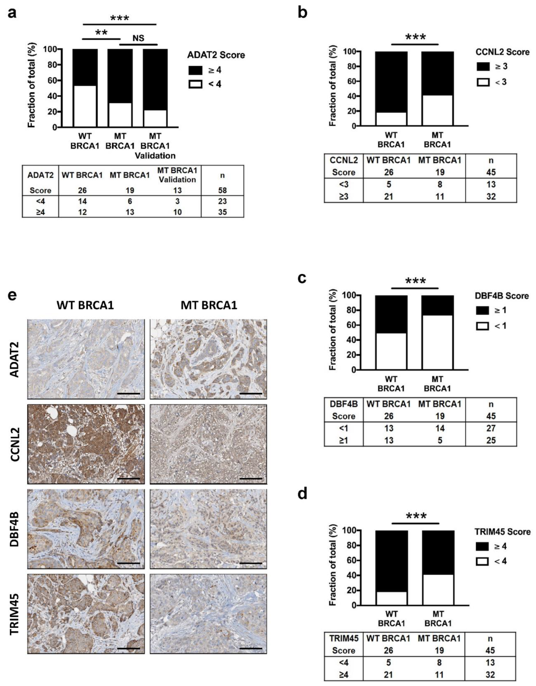 Cells 09 00941 g005 Cells 09 00941 g005