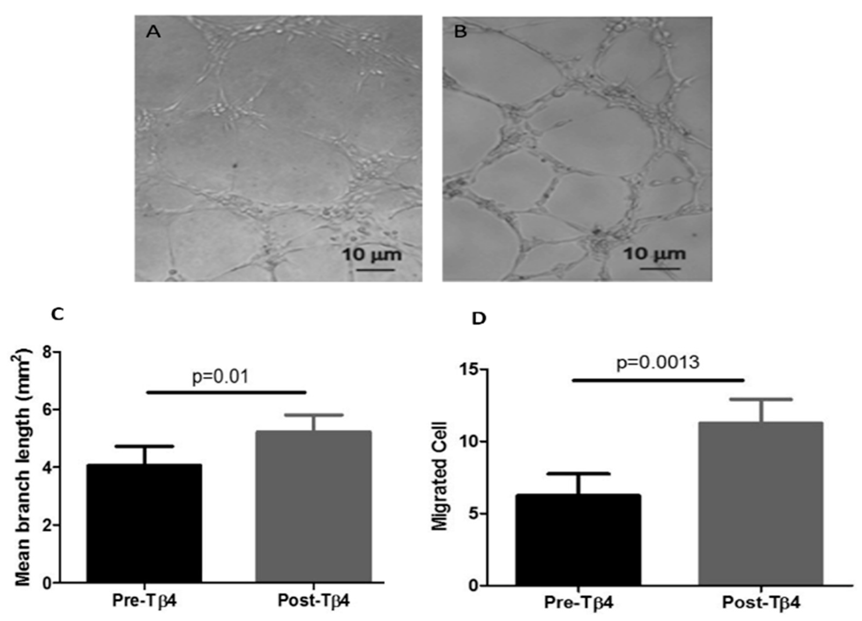Cells 09 00949 g001 Cells 09 00949 g001