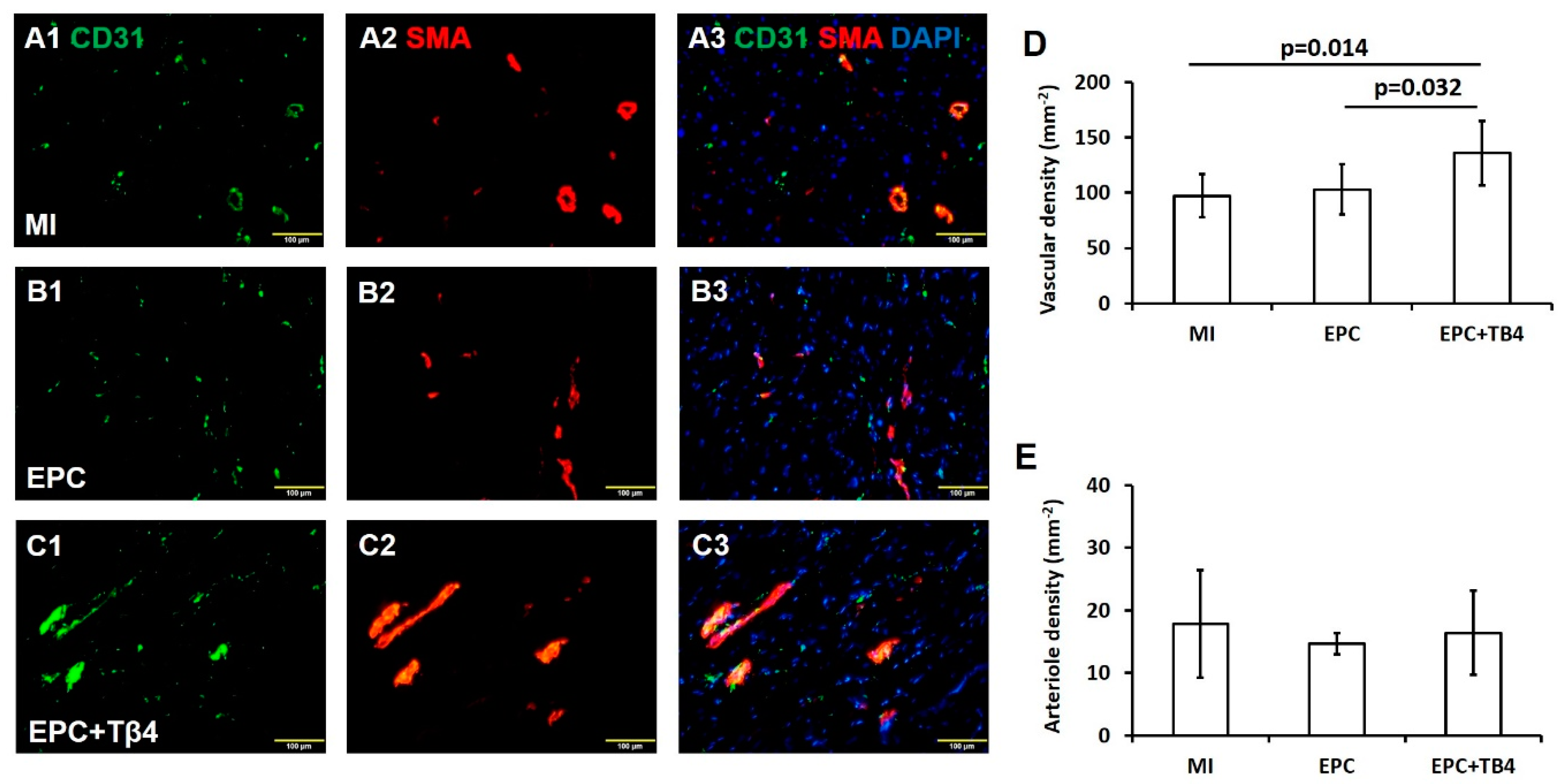 Cells 09 00949 g004 Cells 09 00949 g004