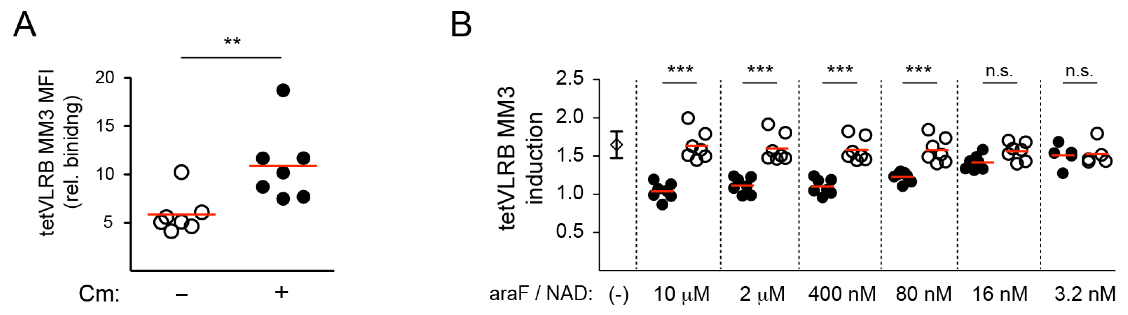 Cells 09 00950 g003 Cells 09 00950 g003