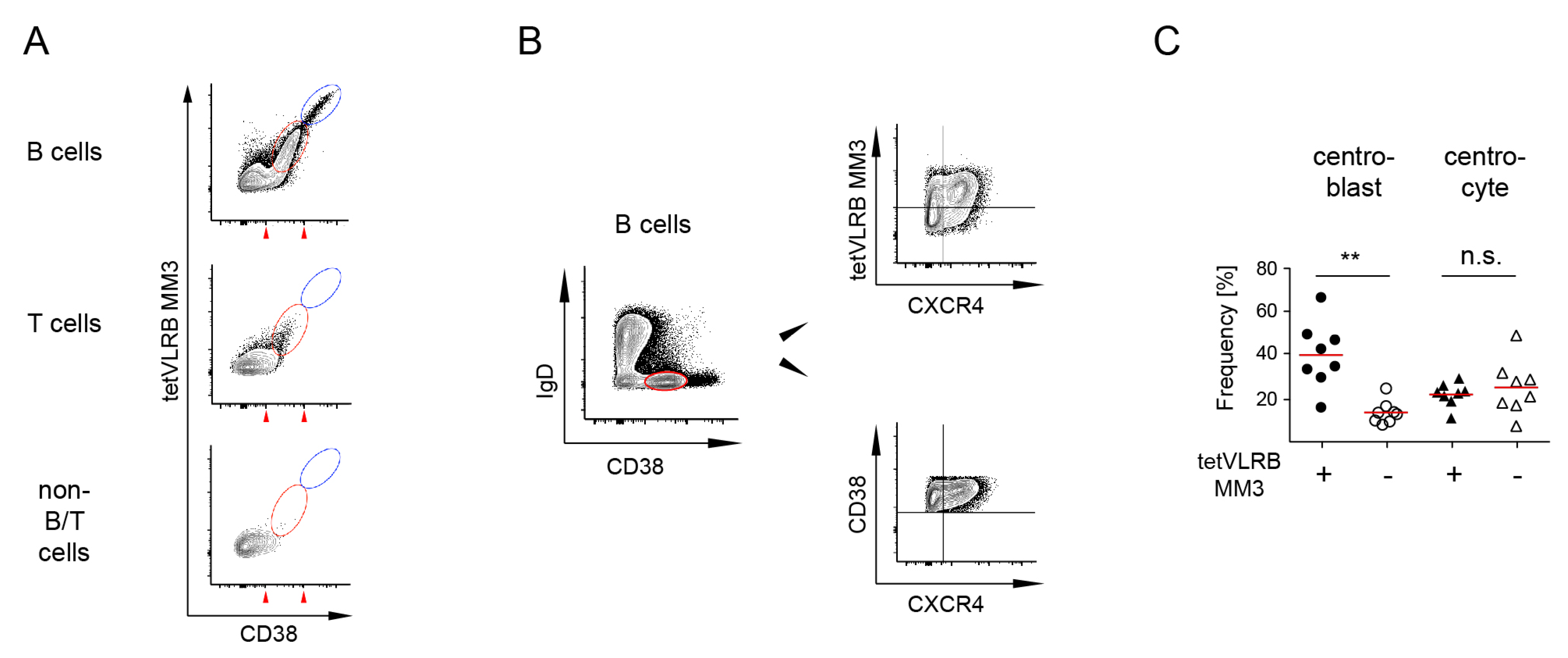 Cells 09 00950 g005 Cells 09 00950 g005