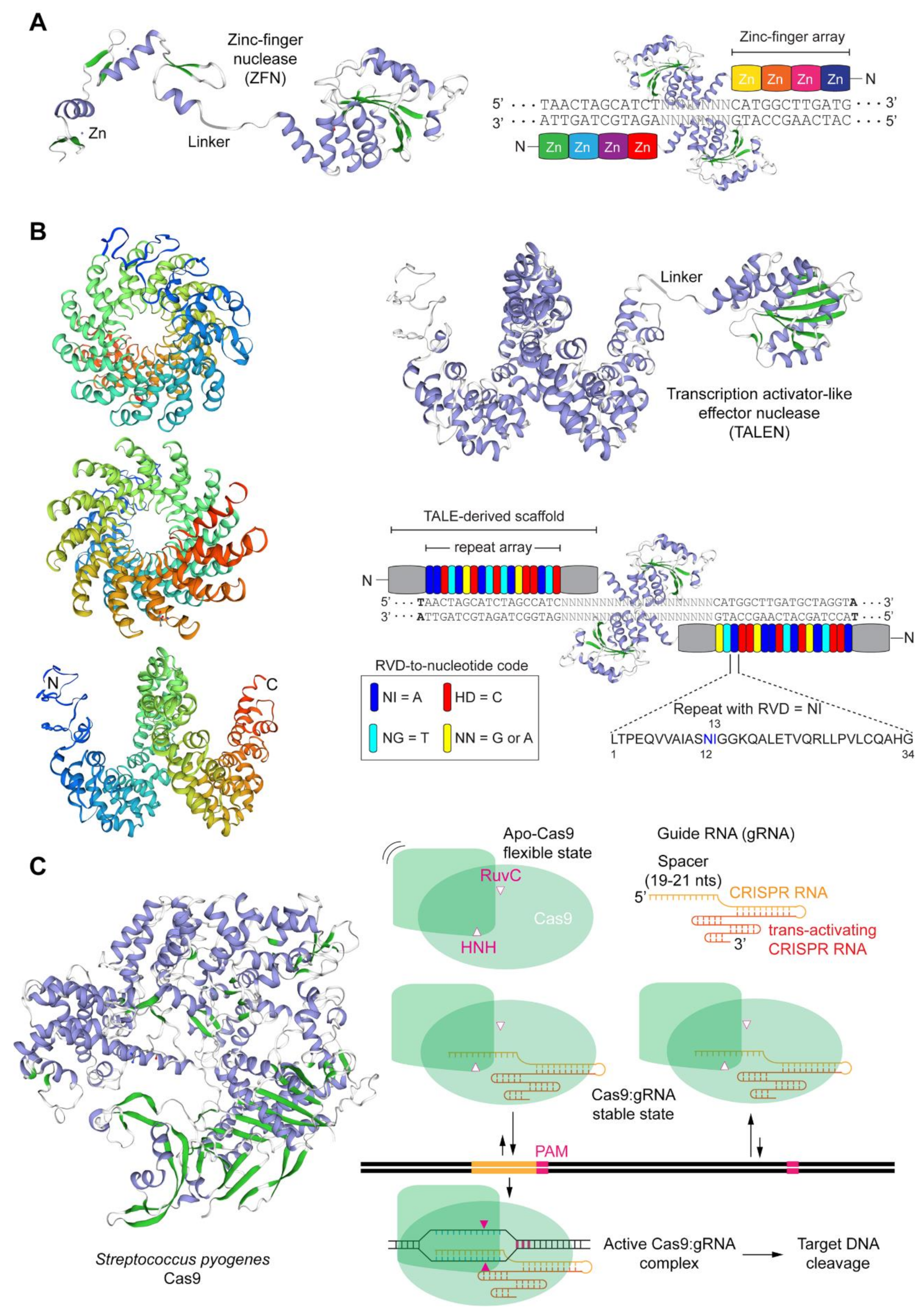Cells 09 00953 g001 Cells 09 00953 g001