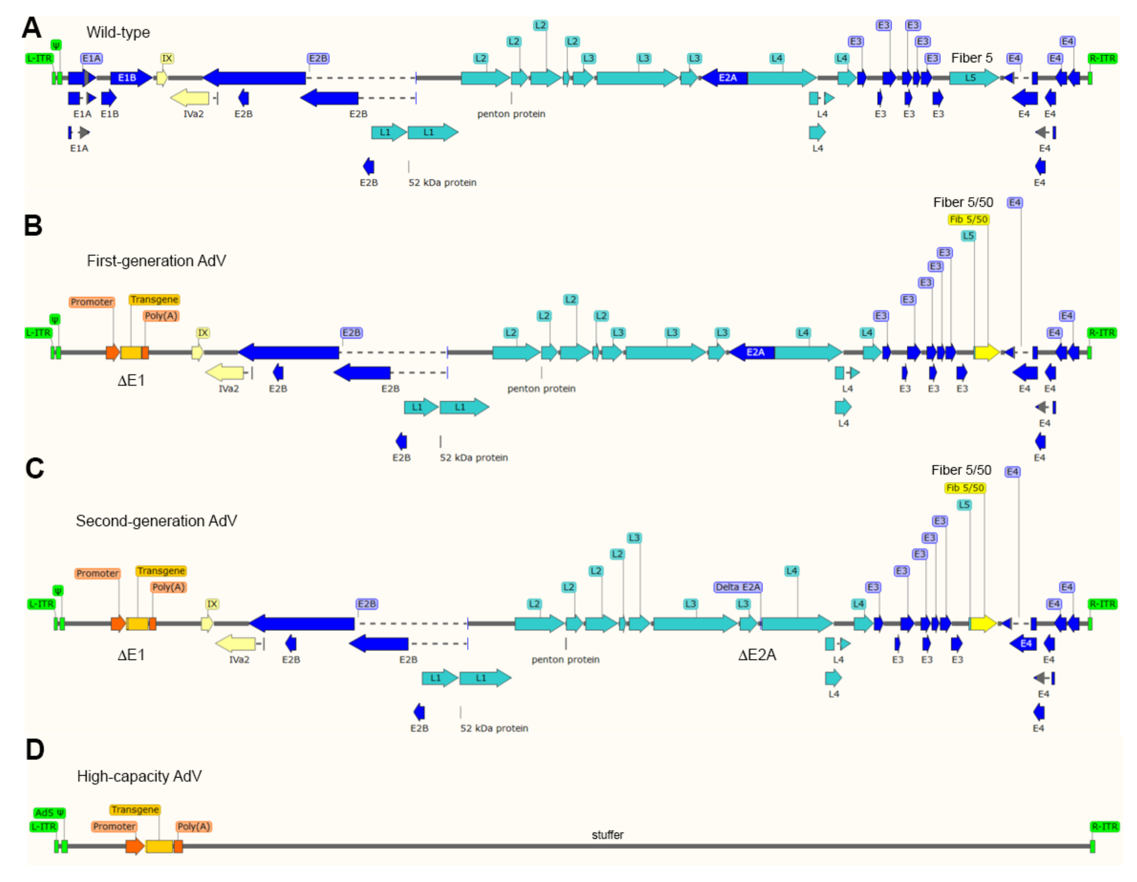 Cells 09 00953 g003 Cells 09 00953 g003
