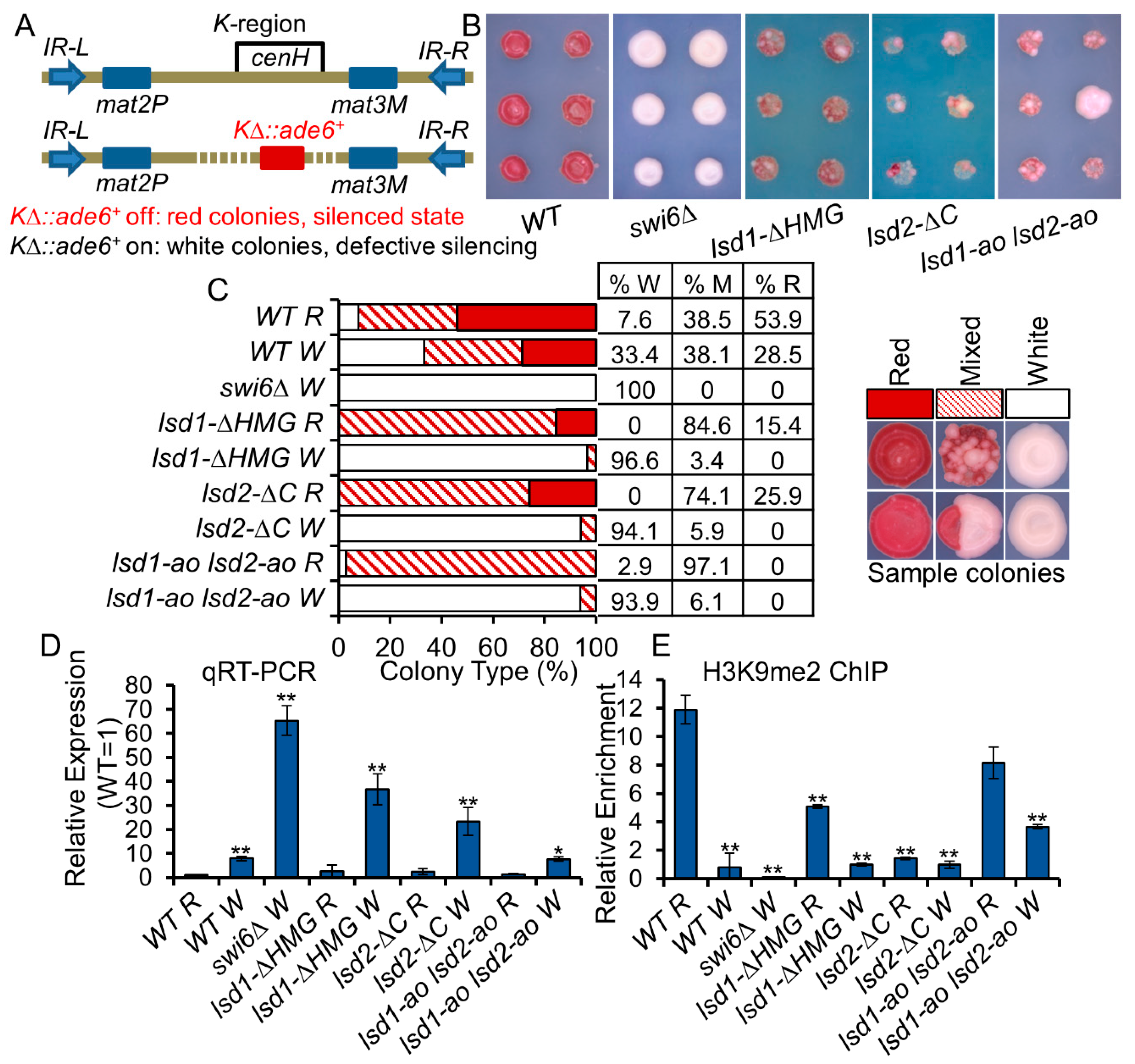 Cells 09 00955 g005 Cells 09 00955 g005