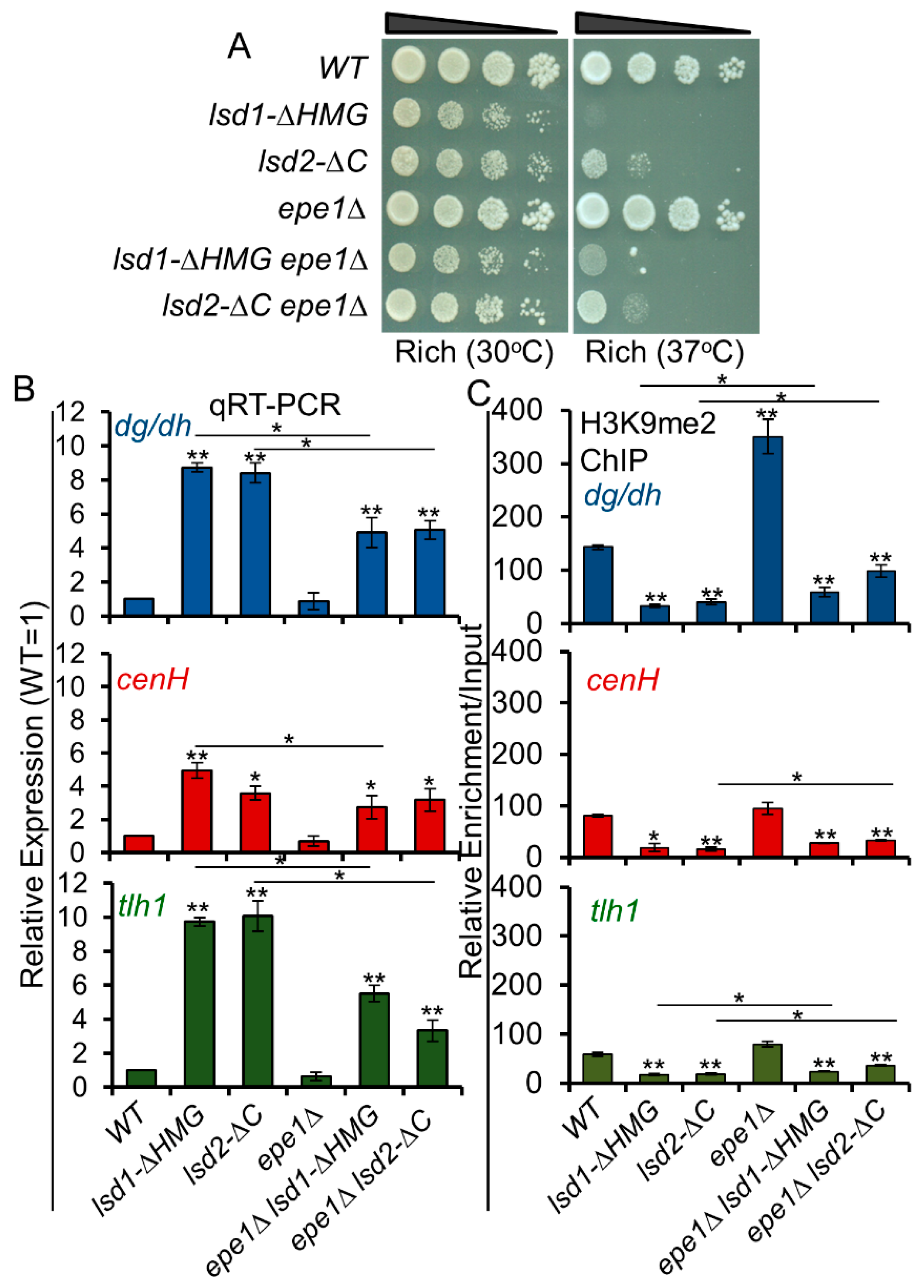 Cells 09 00955 g006 Cells 09 00955 g006