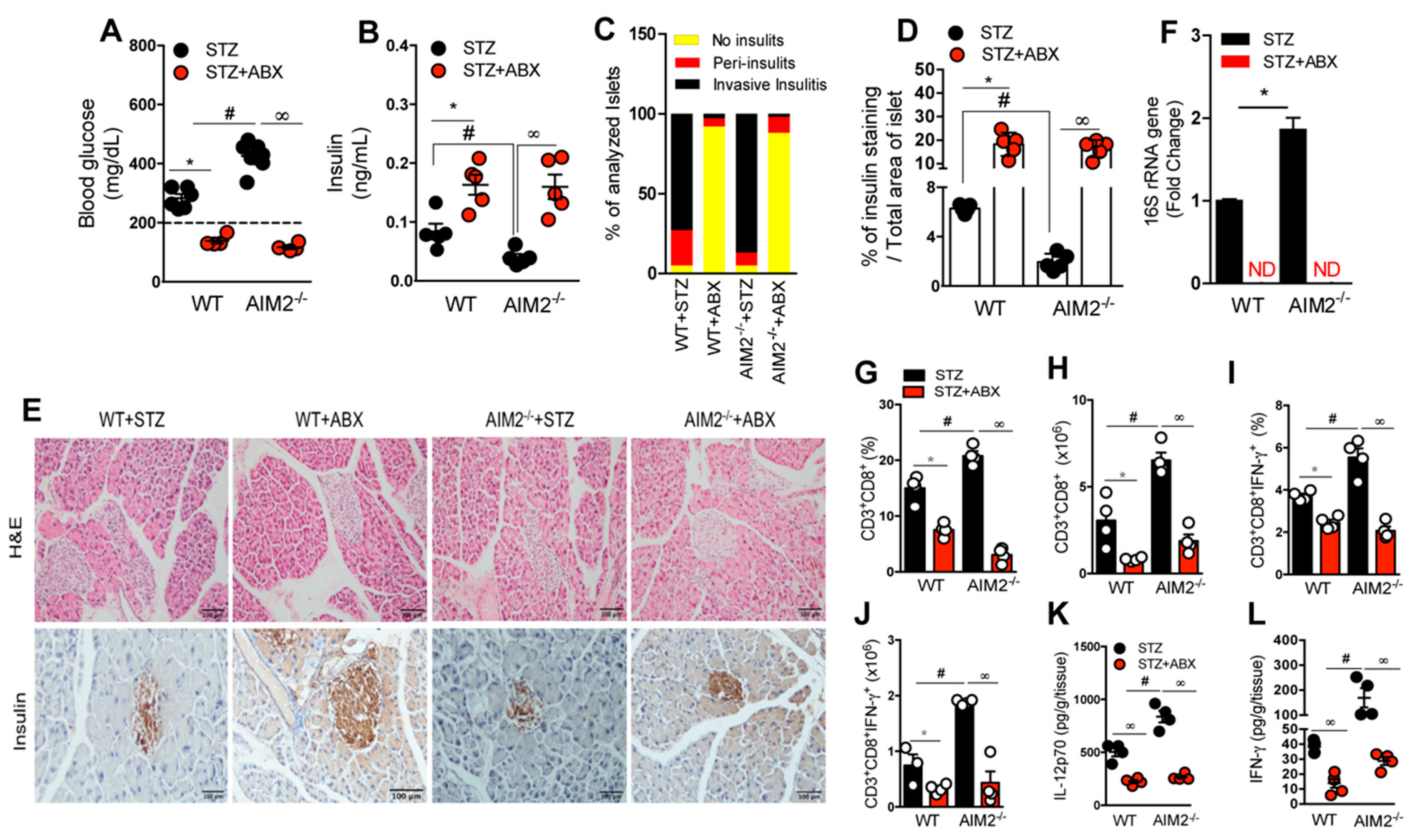 Cells 09 00959 g005 Cells 09 00959 g005