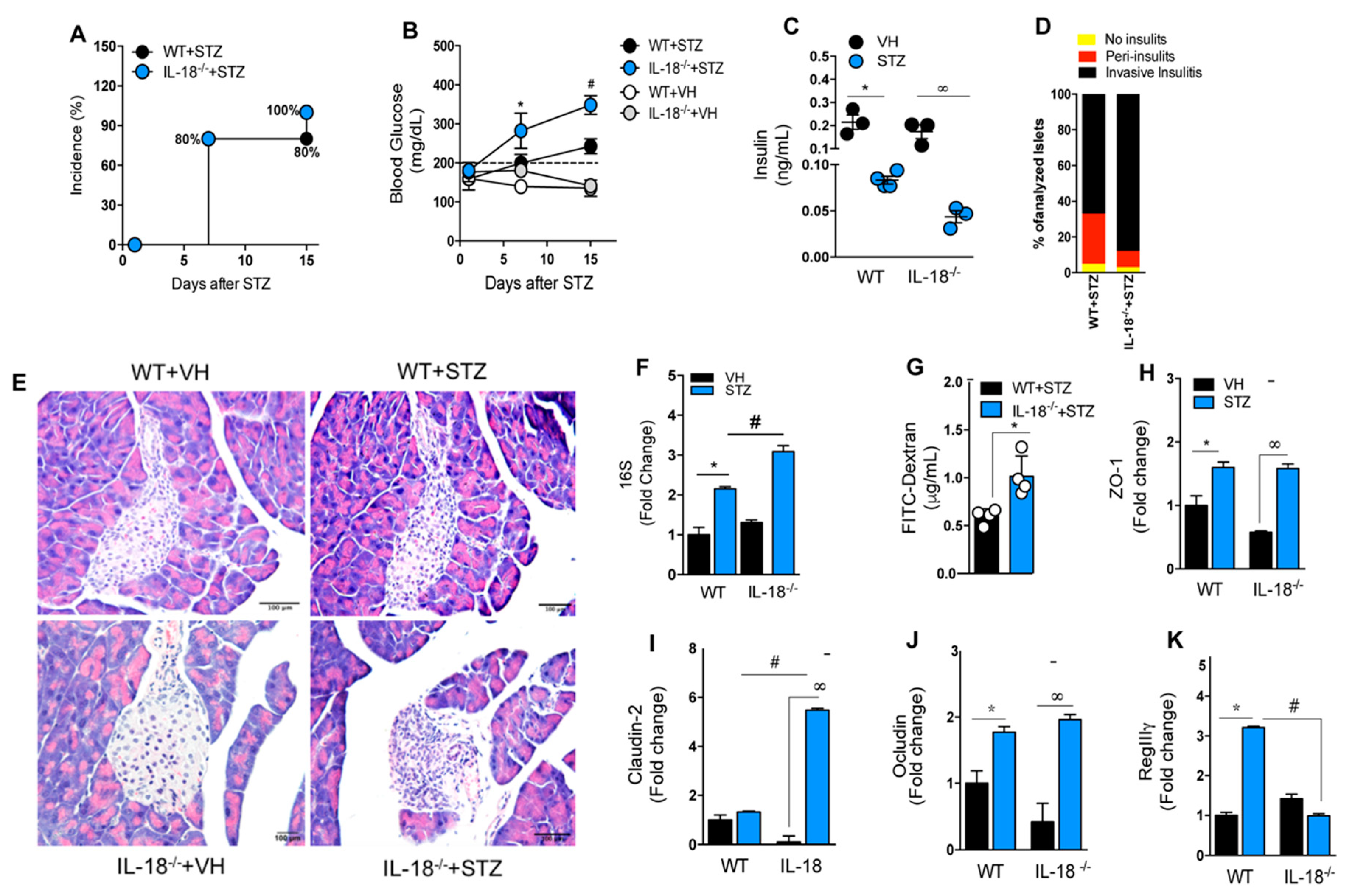 Cells 09 00959 g008 Cells 09 00959 g008