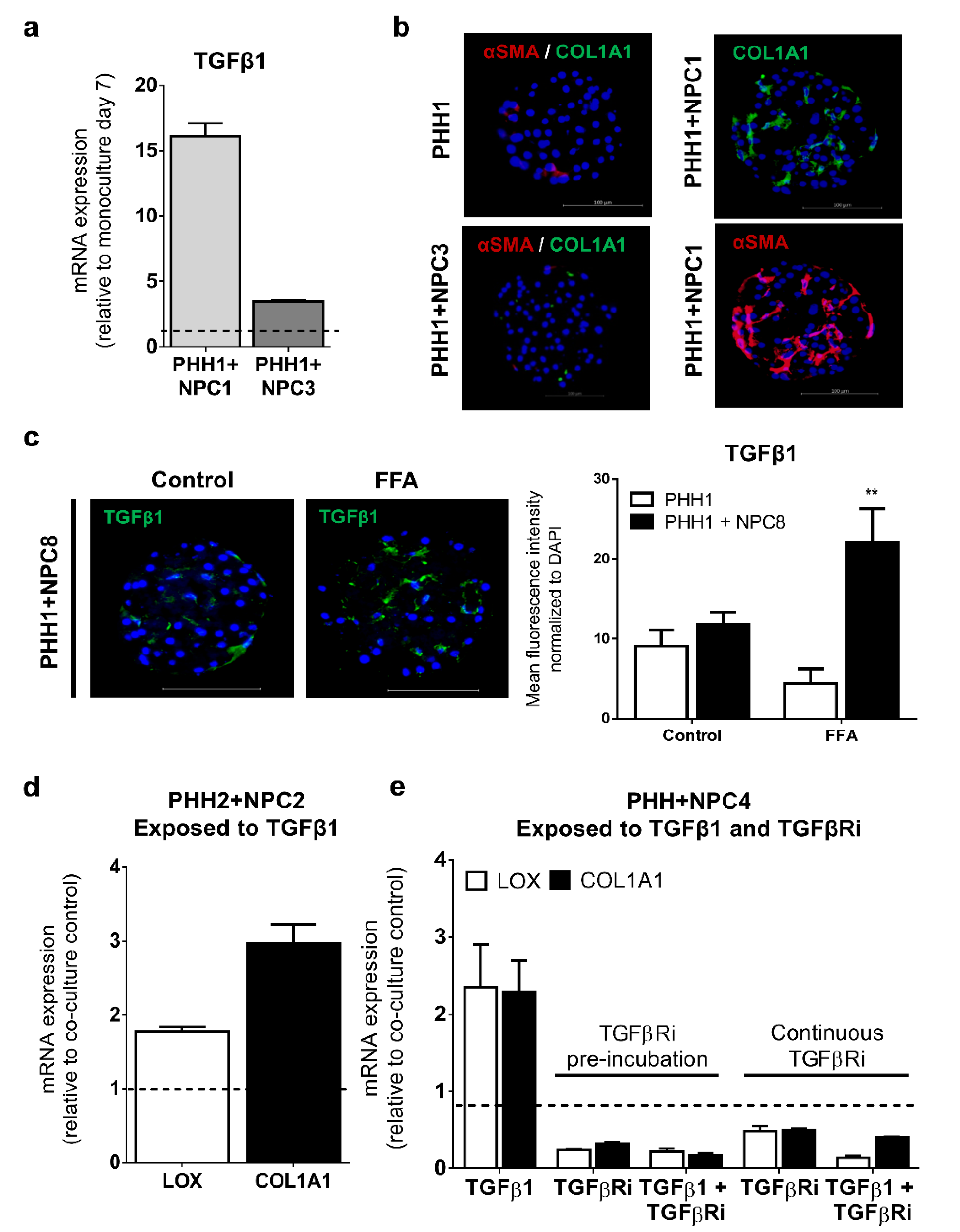Cells 09 00964 g003 Cells 09 00964 g003