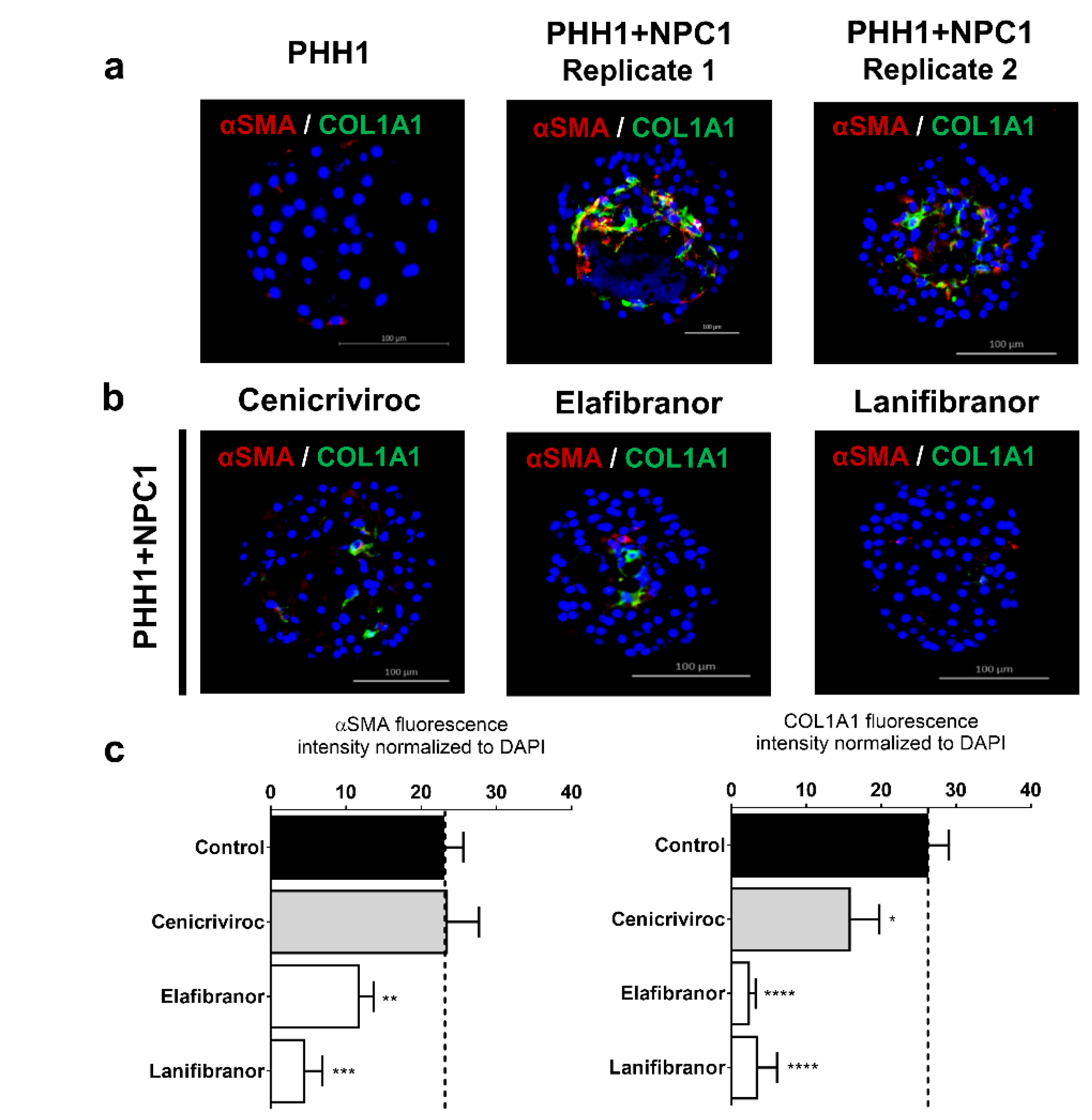 Cells 09 00964 g006 Cells 09 00964 g006
