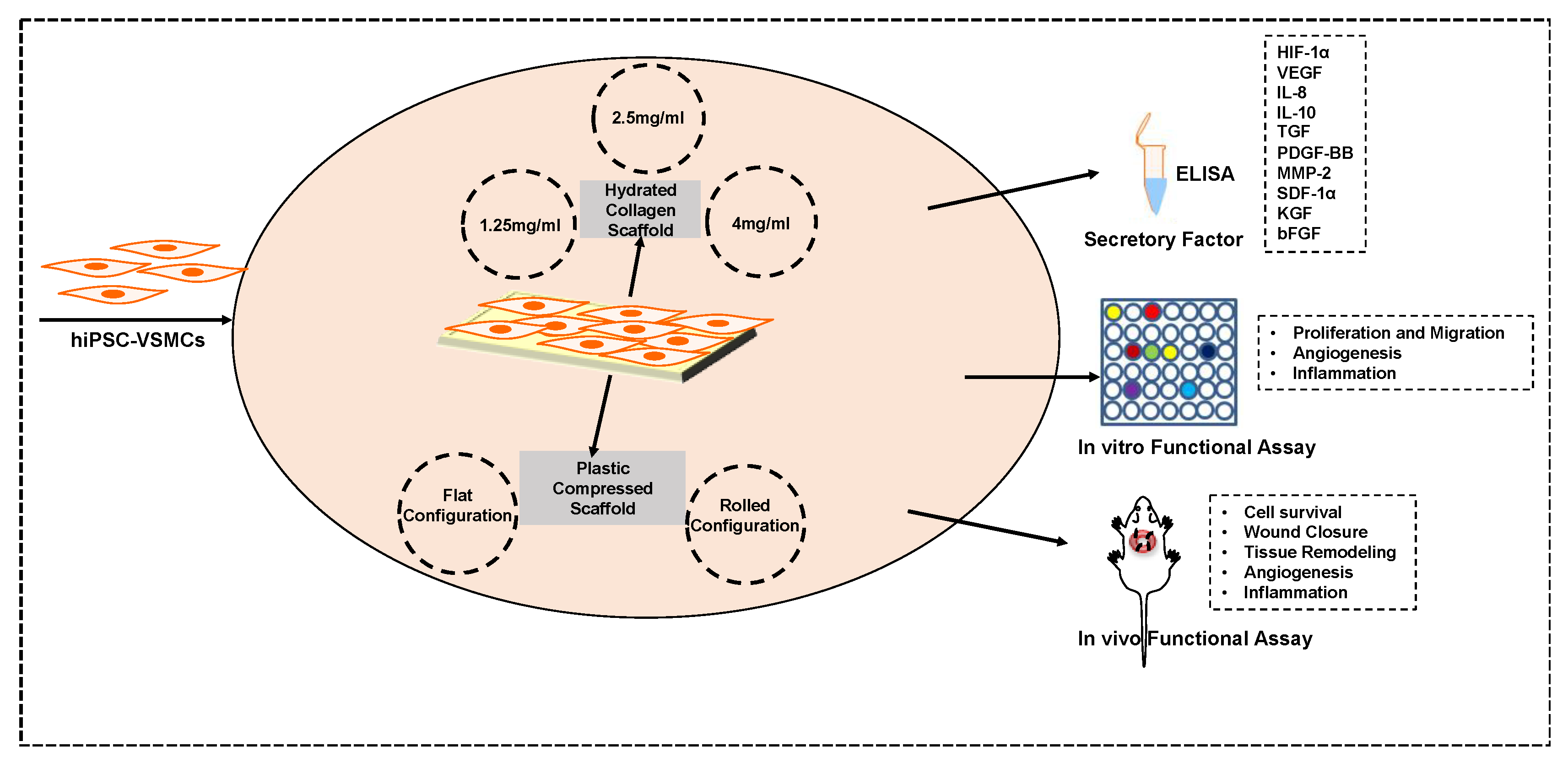 Cells 09 00966 sch001