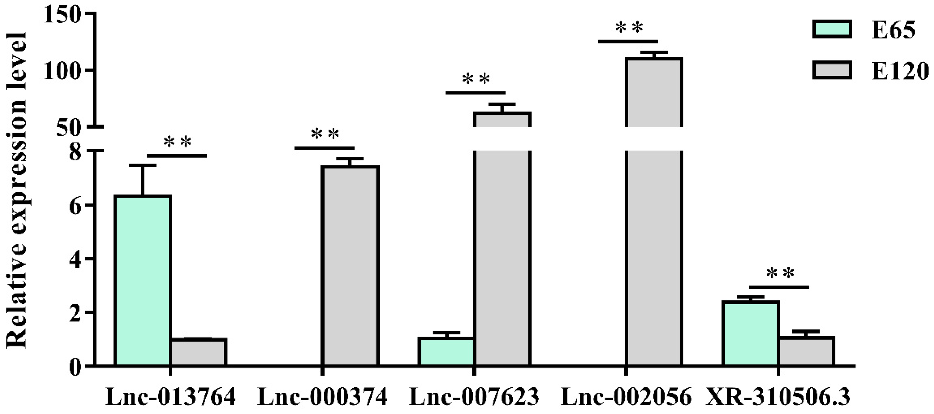 Cells 09 00969 g007 Cells 09 00969 g007