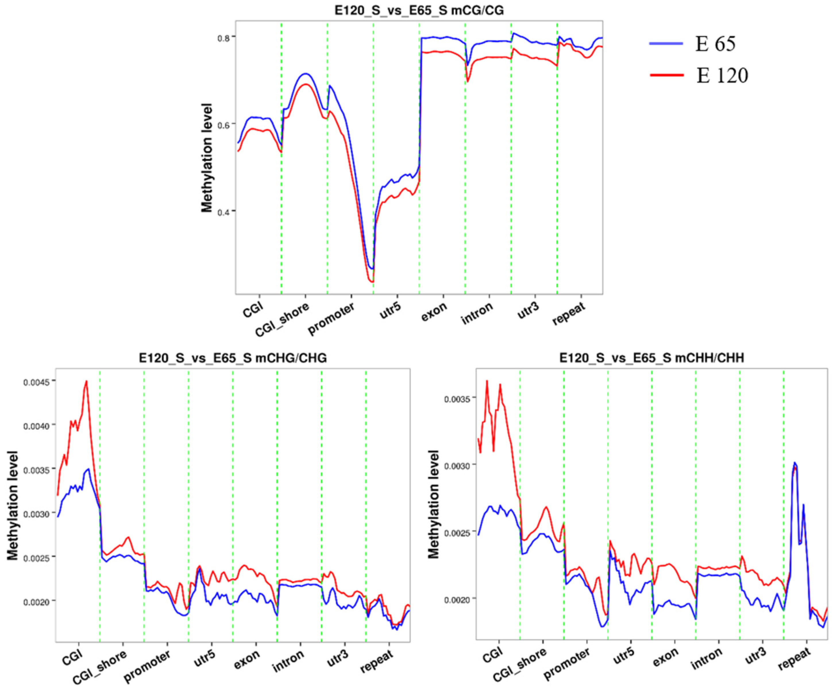 Cells 09 00969 g008 Cells 09 00969 g008