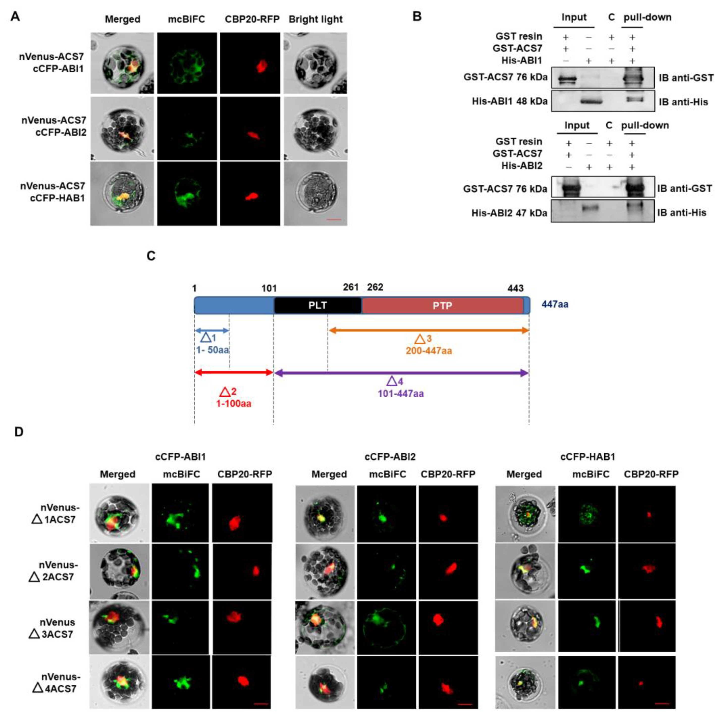 Cells 09 00978 g002 Cells 09 00978 g002