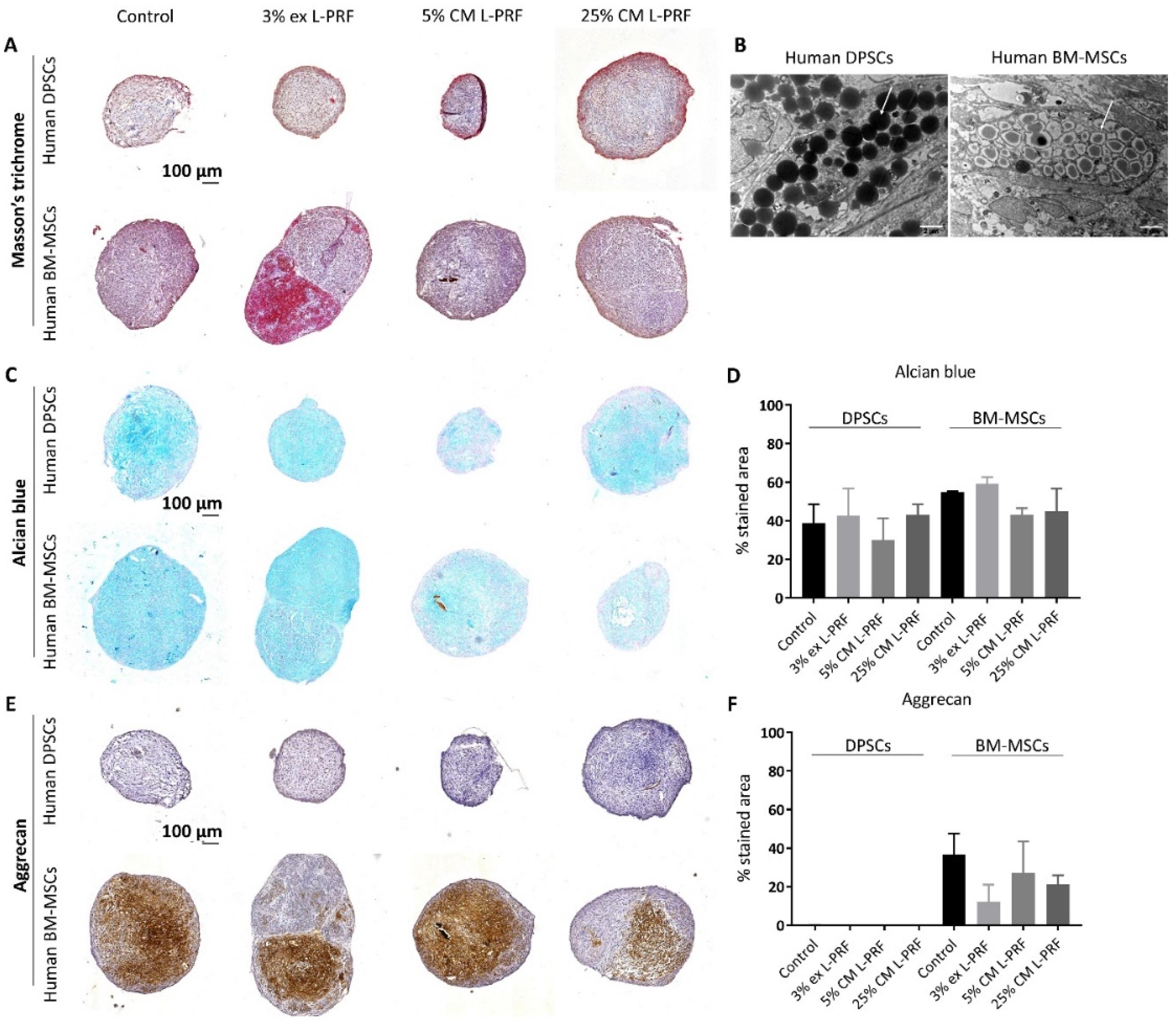 Cells 09 00980 g001 Cells 09 00980 g001