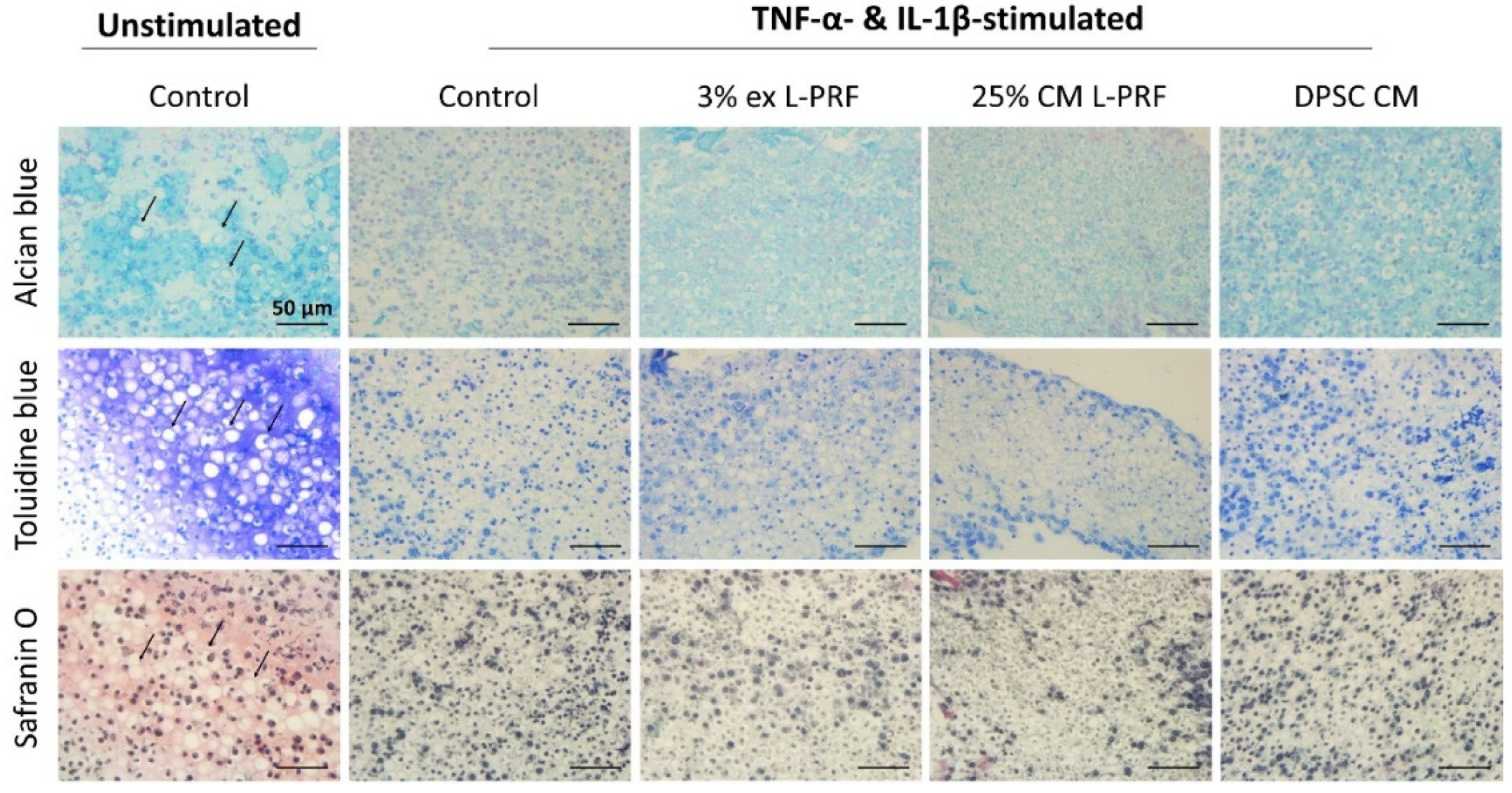 Cells 09 00980 g006 Cells 09 00980 g006