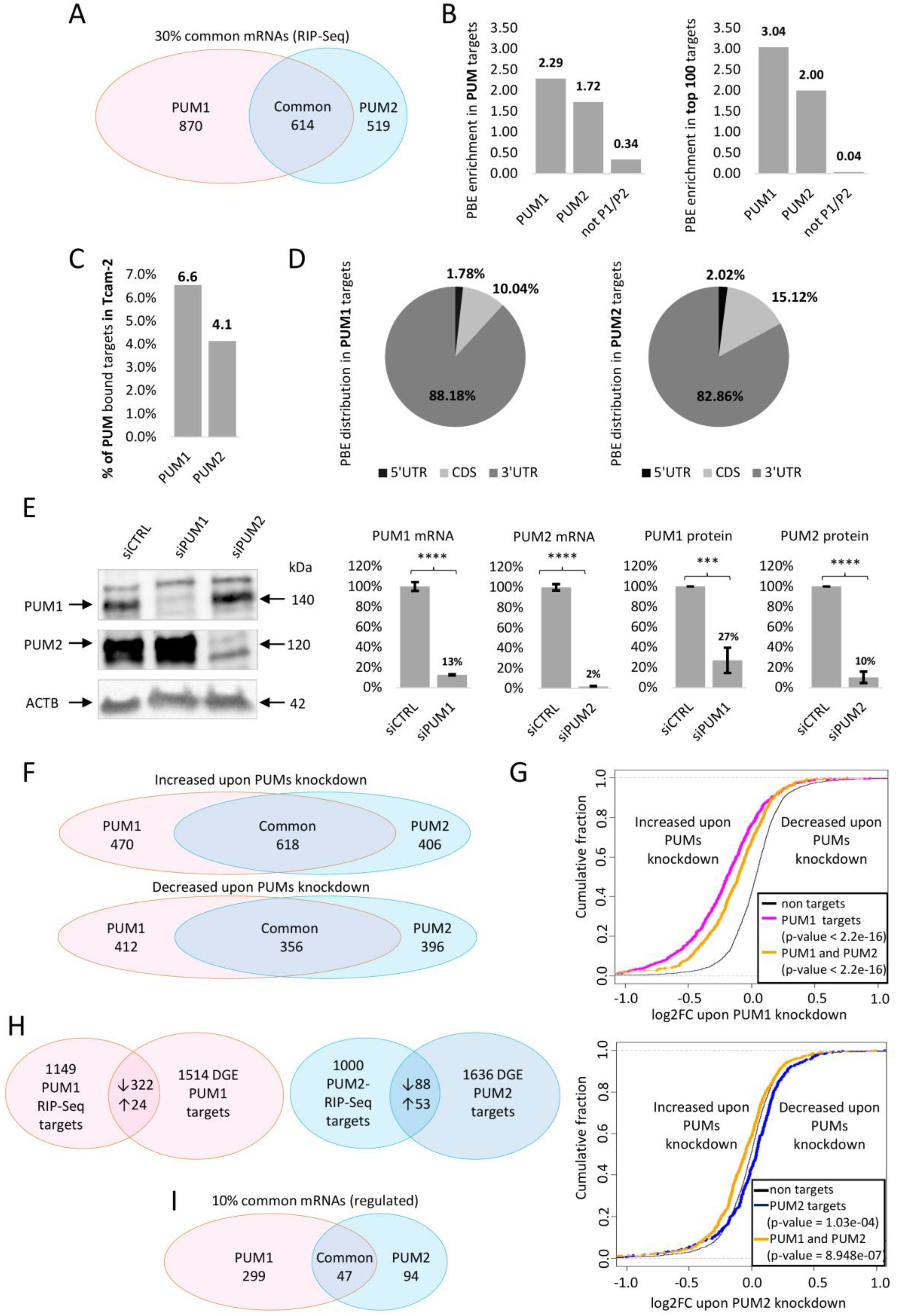 Cells 09 00984 g001 Cells 09 00984 g001