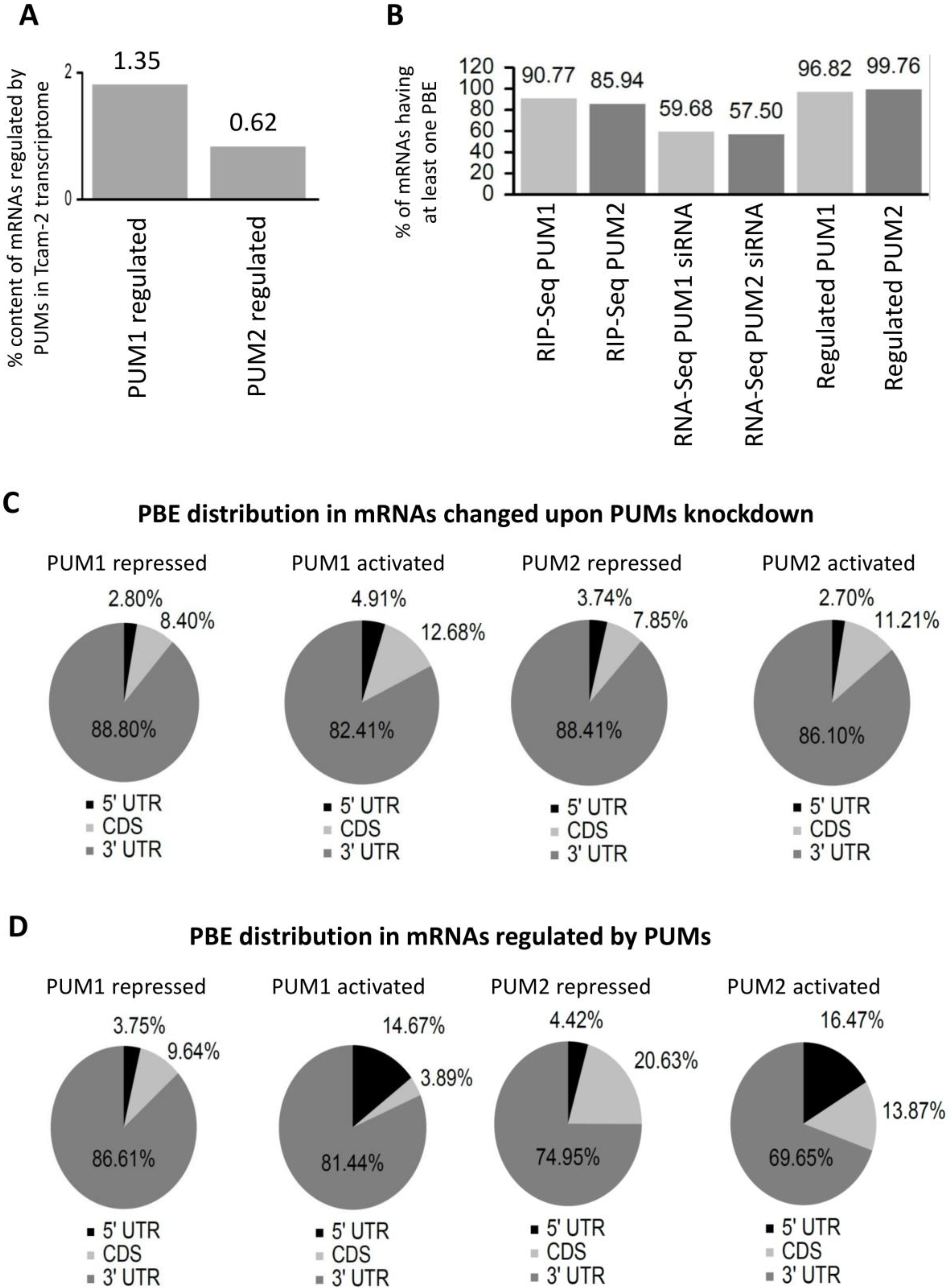 Cells 09 00984 g002 Cells 09 00984 g002