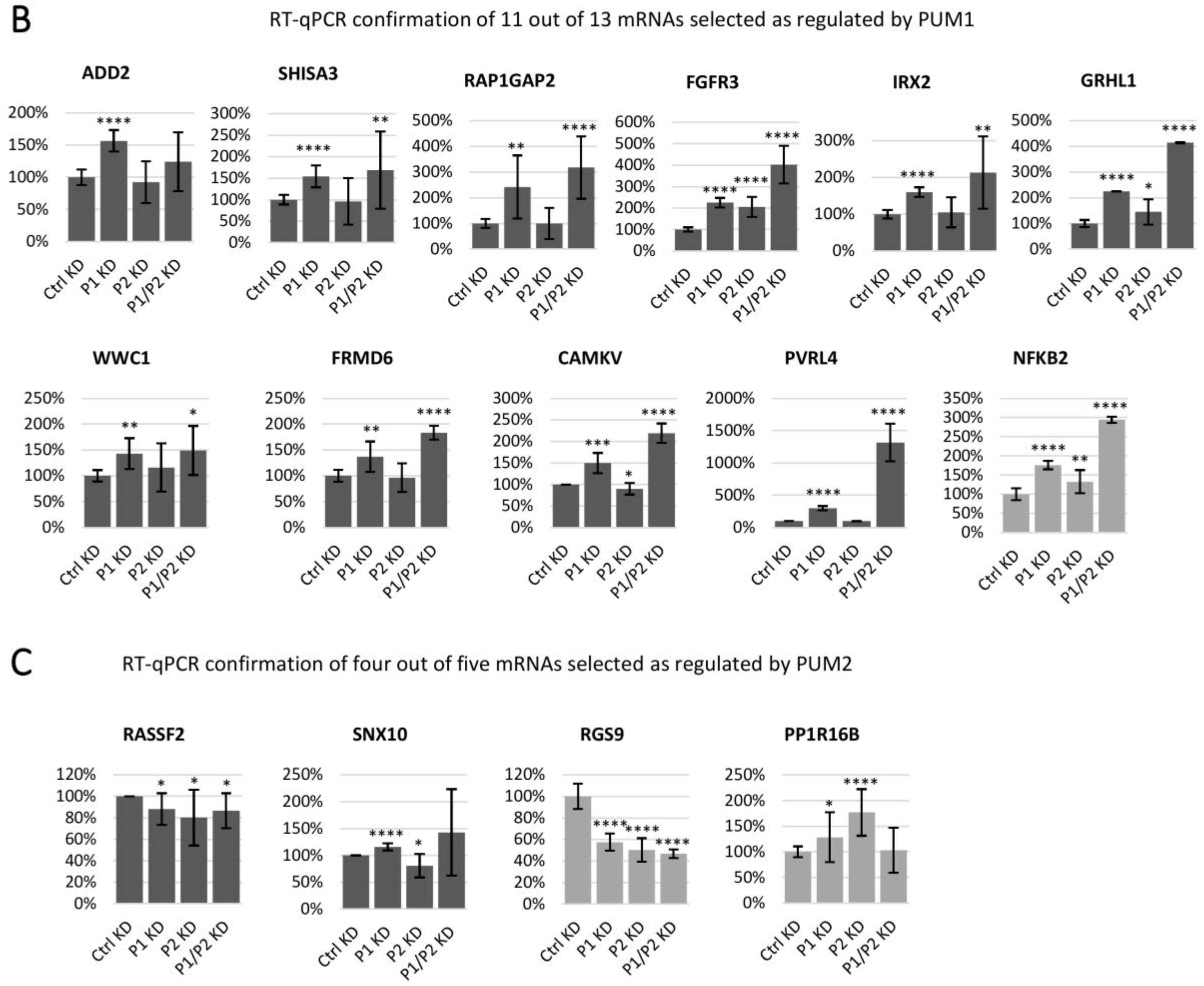Cells 09 00984 g005b Cells 09 00984 g005b