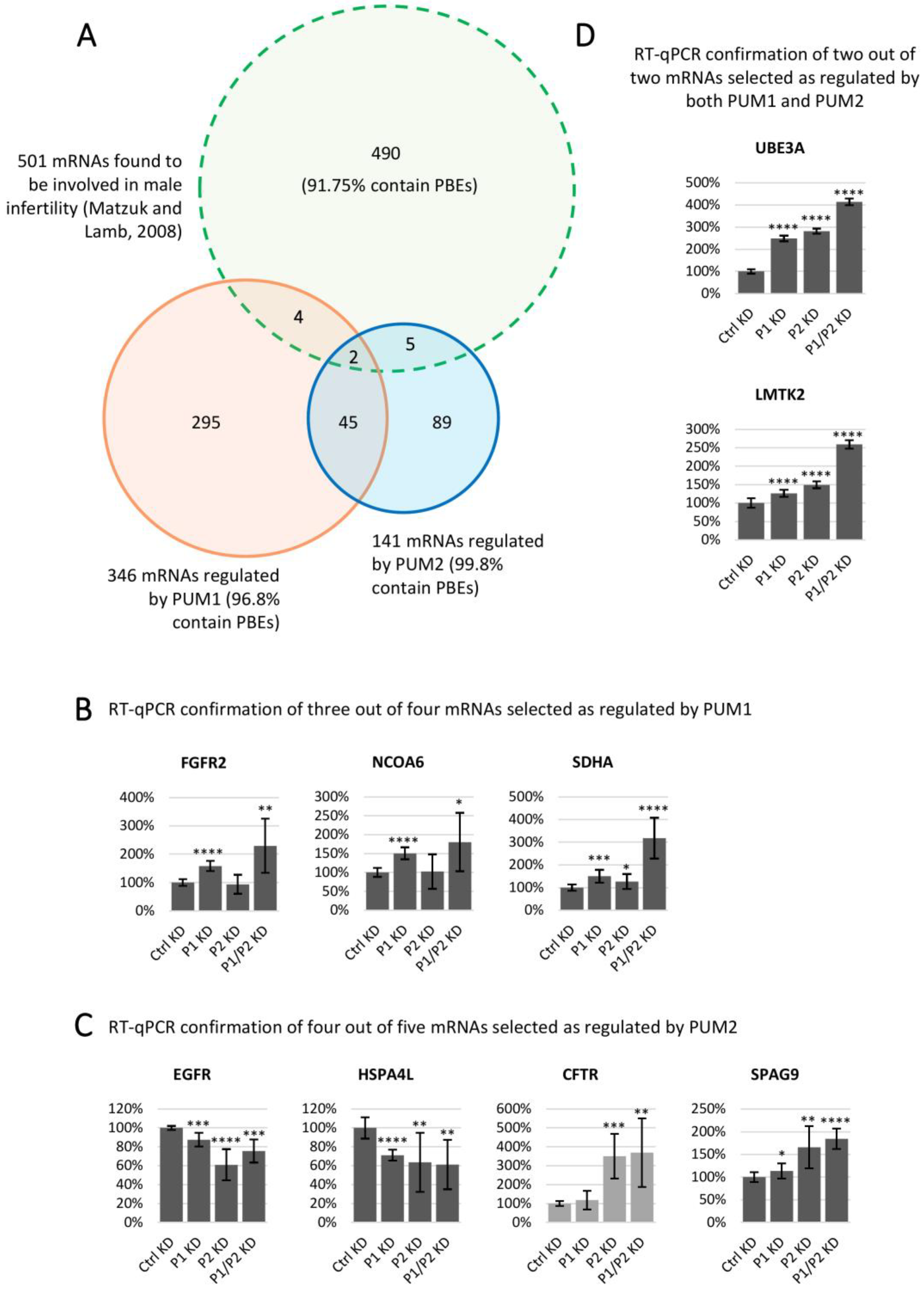Cells 09 00984 g006 Cells 09 00984 g006