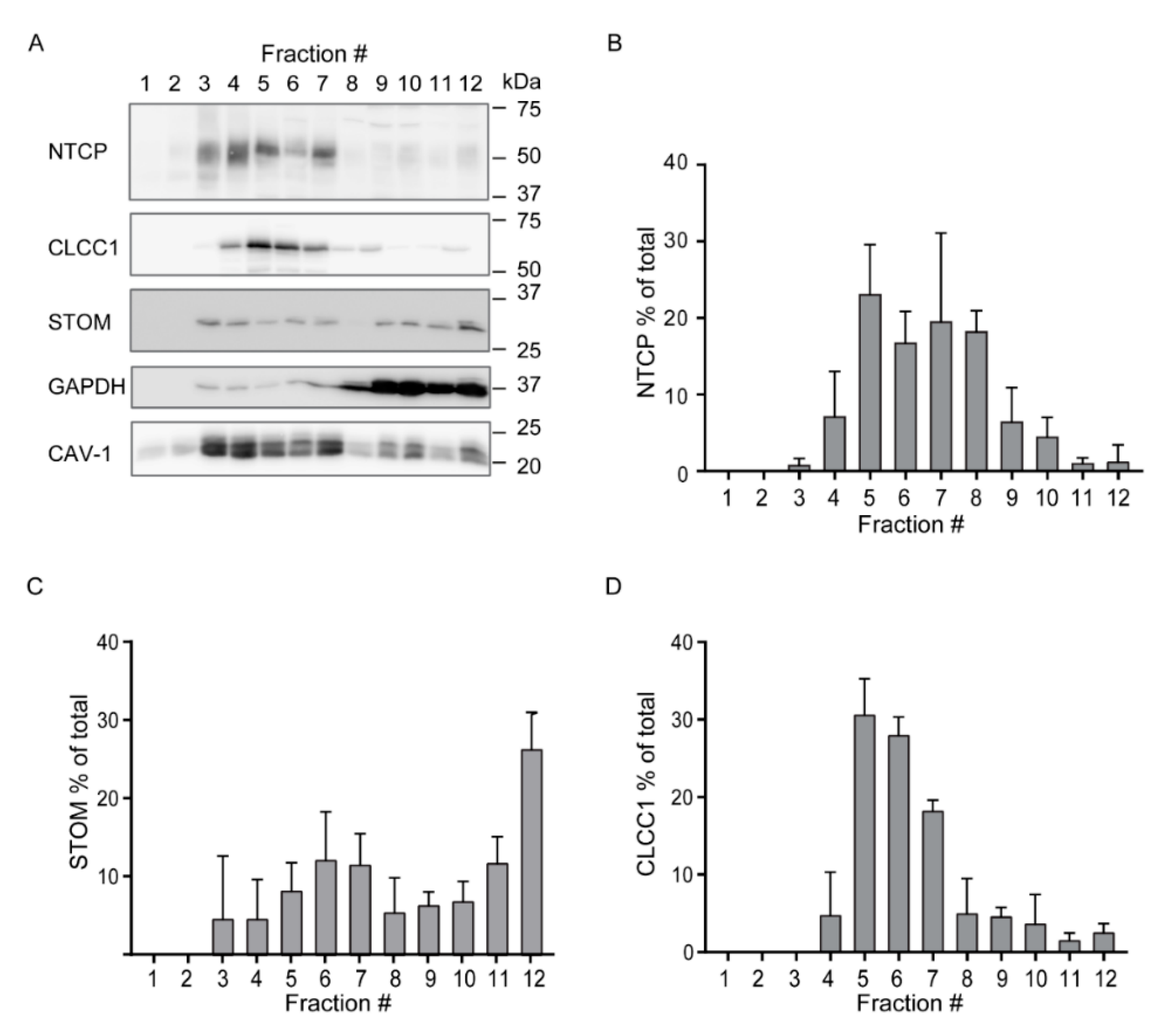 Cells 09 00986 g003 Cells 09 00986 g003