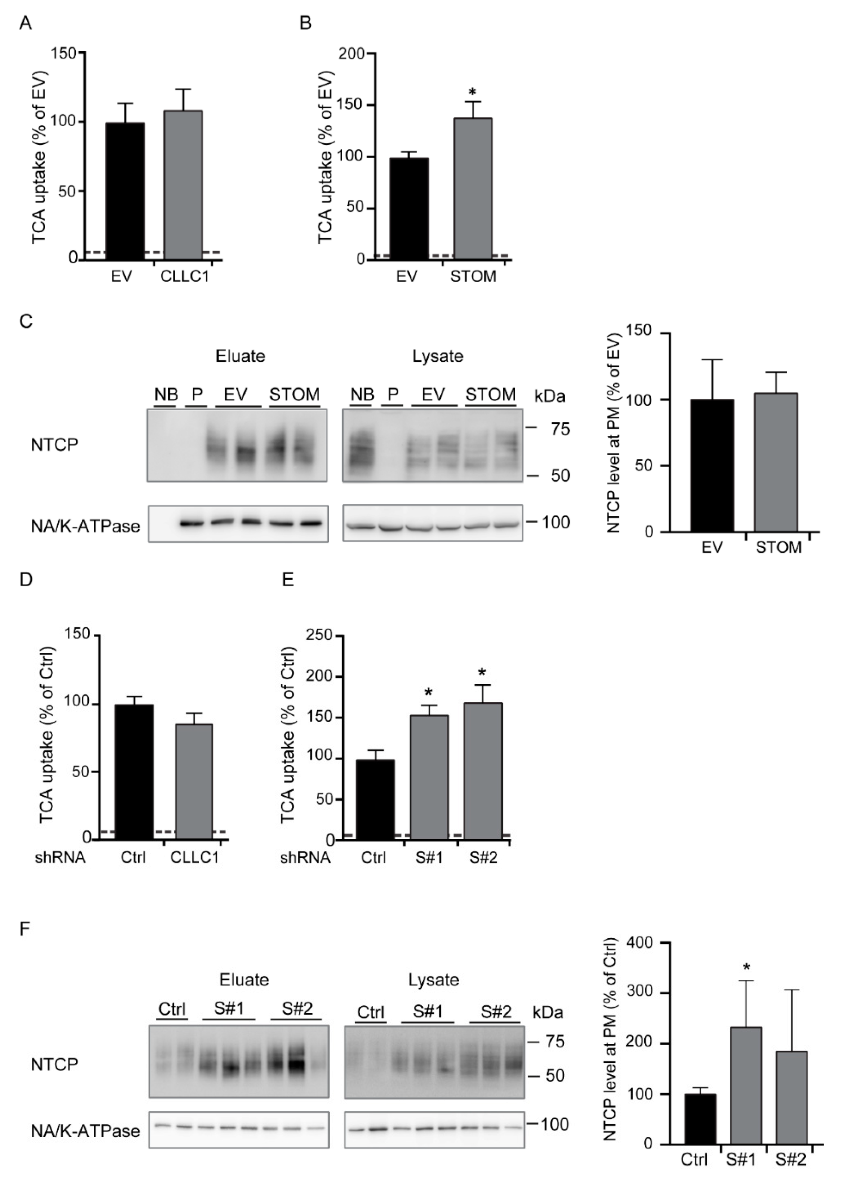 Cells 09 00986 g004 Cells 09 00986 g004