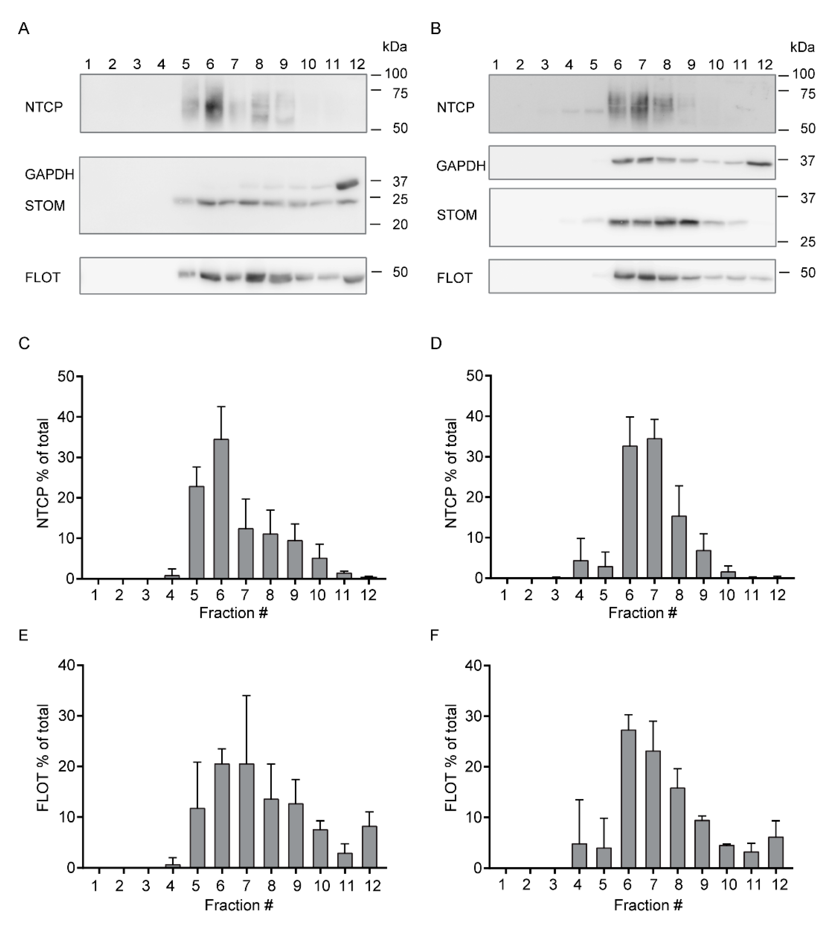 Cells 09 00986 g005 Cells 09 00986 g005
