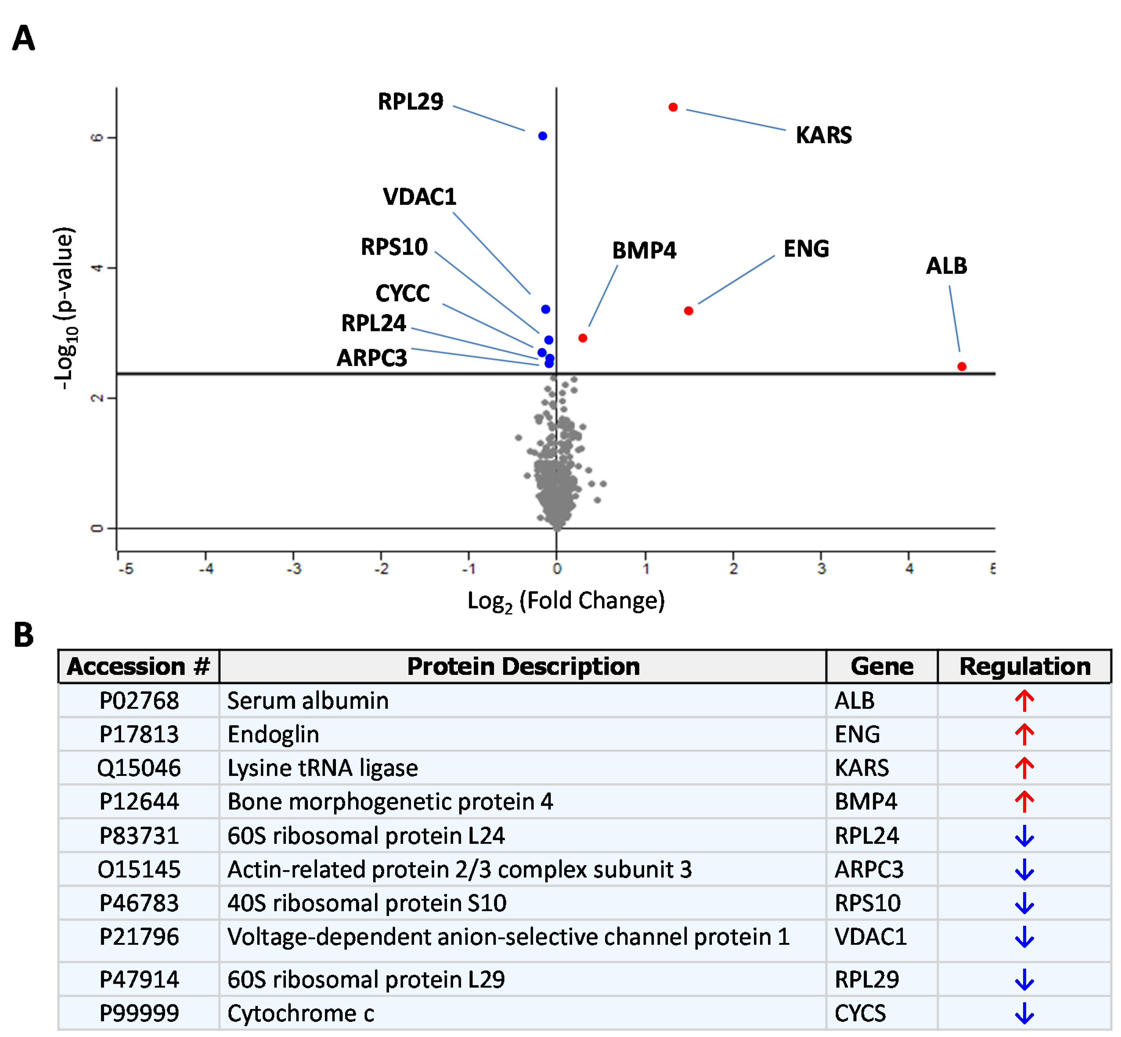 Cells 09 00988 g001 Cells 09 00988 g001