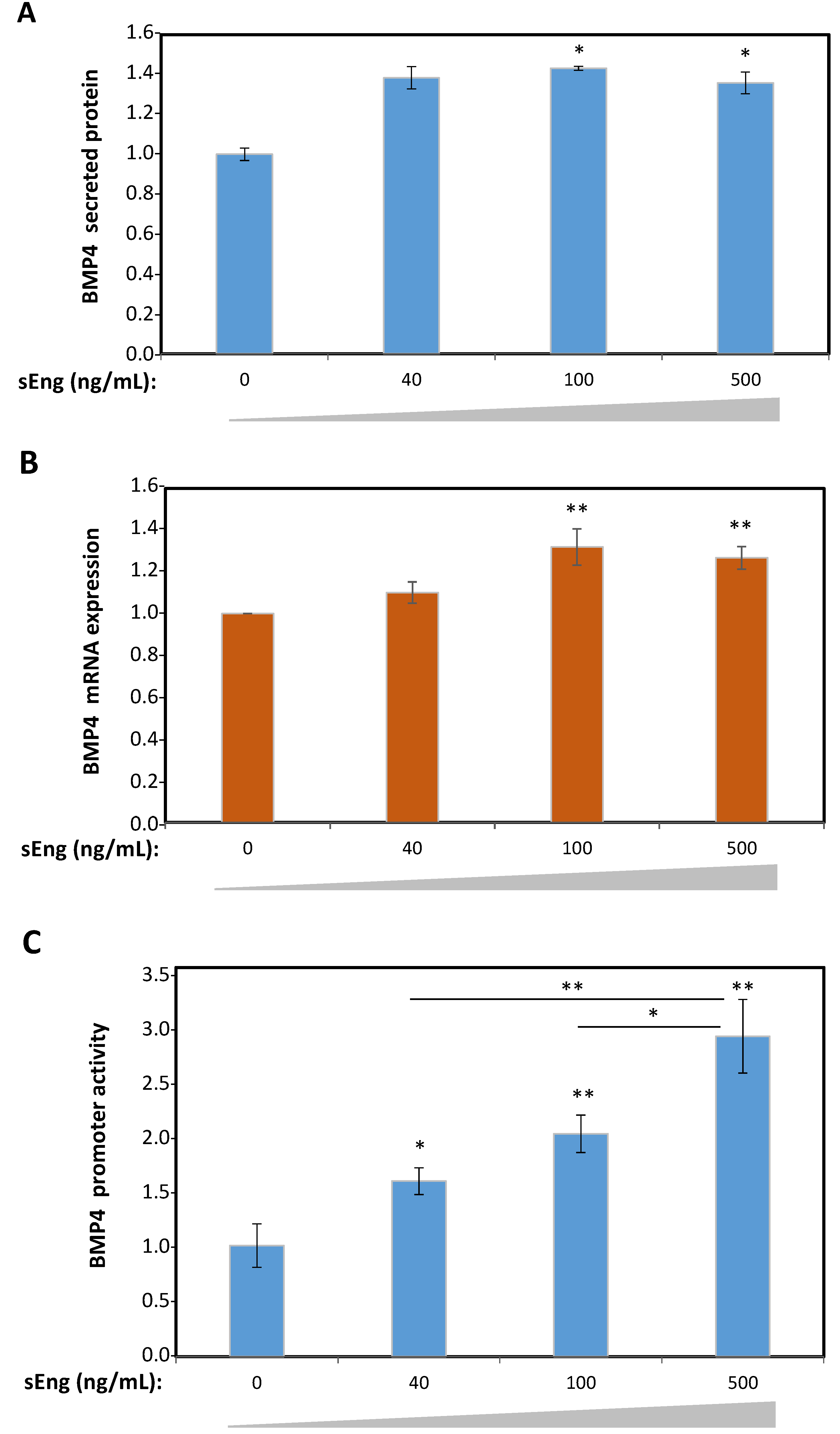 Cells 09 00988 g002 Cells 09 00988 g002