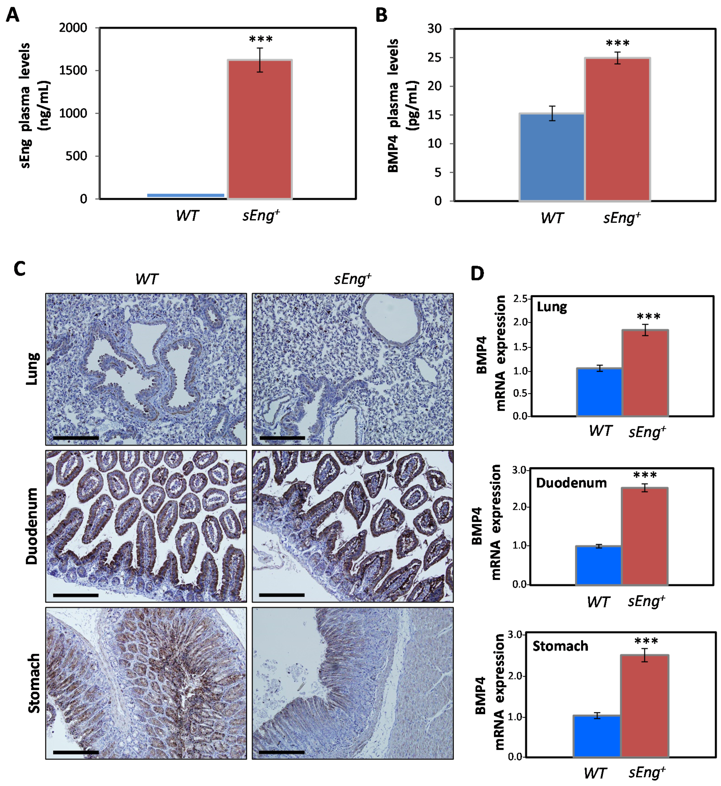 Cells 09 00988 g004 Cells 09 00988 g004