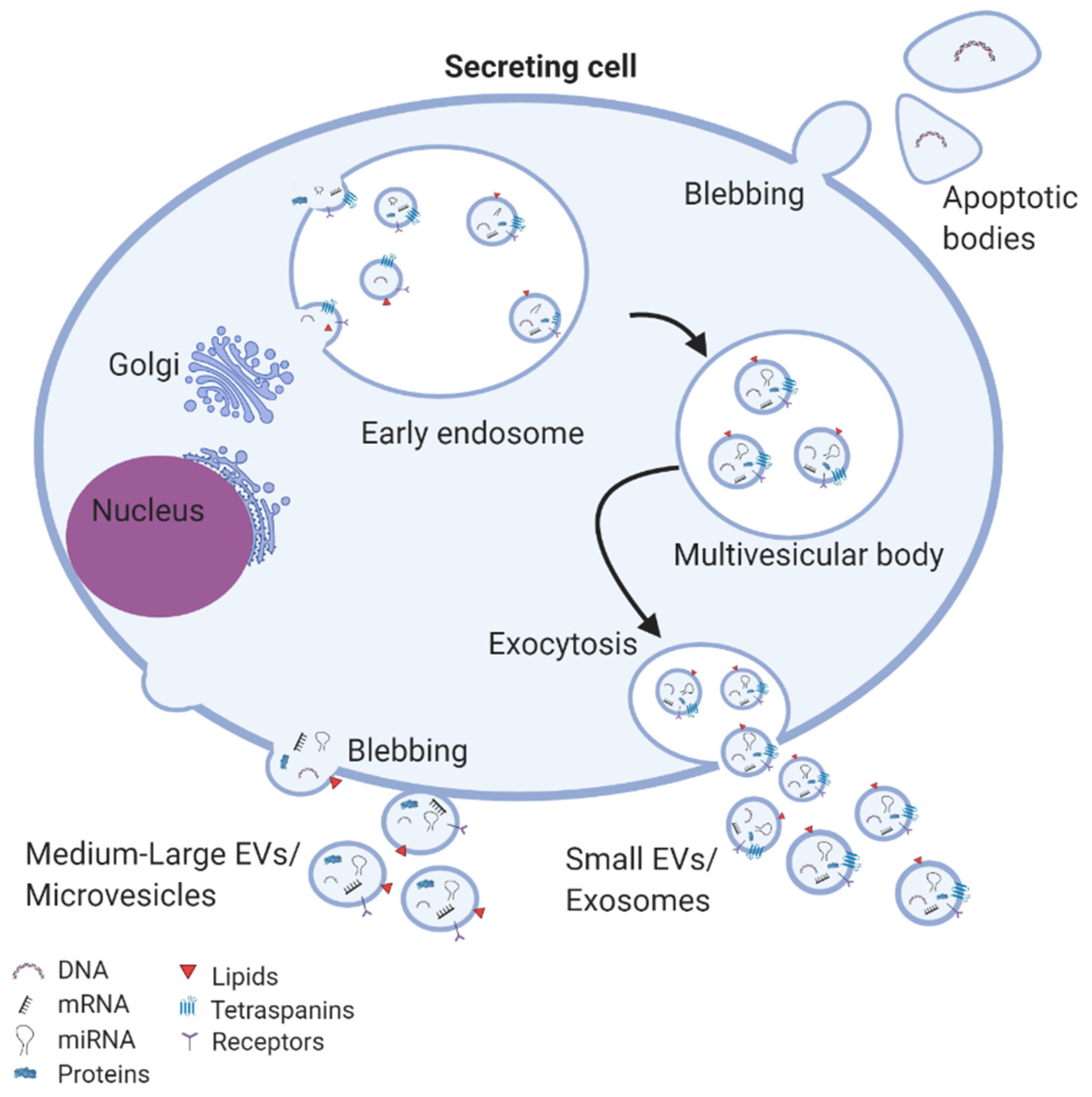 Cells 09 00991 g002 Cells 09 00991 g002