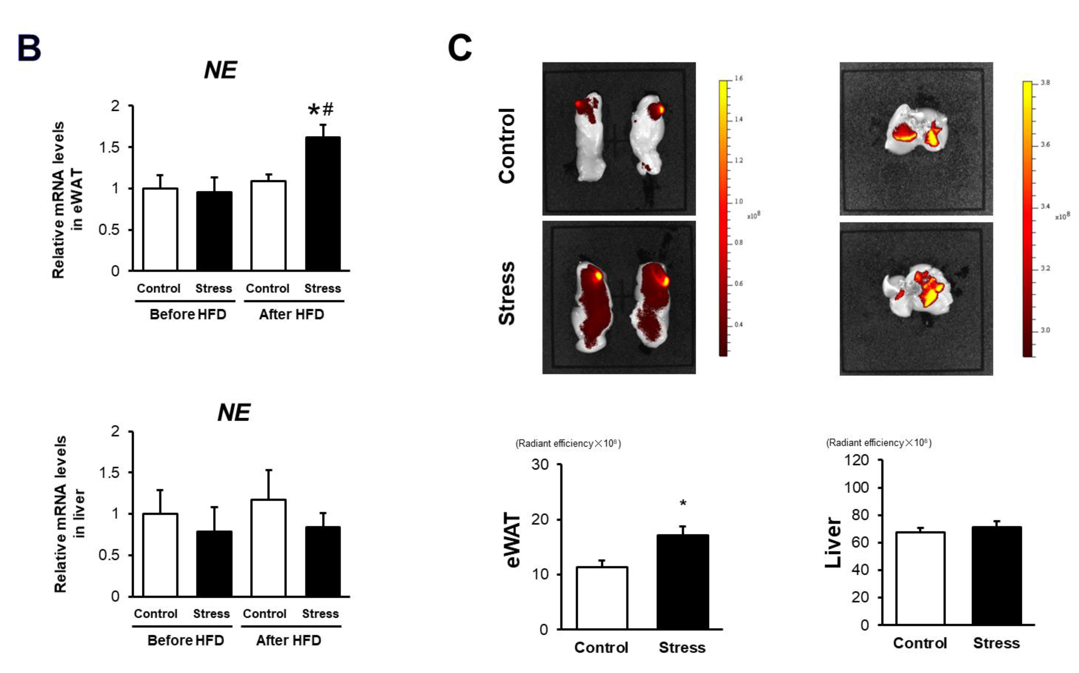 Cells 09 00996 g003b Cells 09 00996 g003b