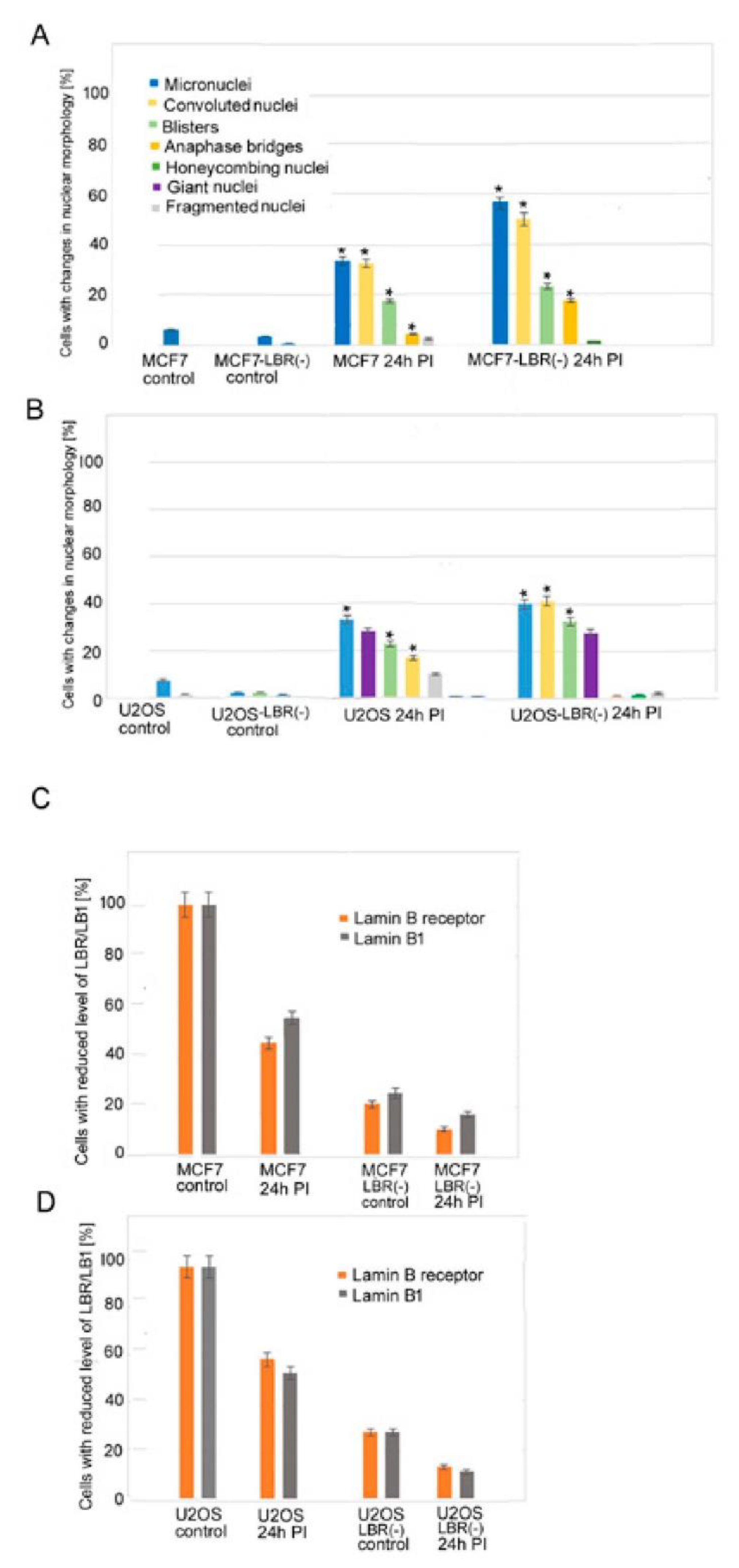 Cells 09 00999 g001 Cells 09 00999 g001