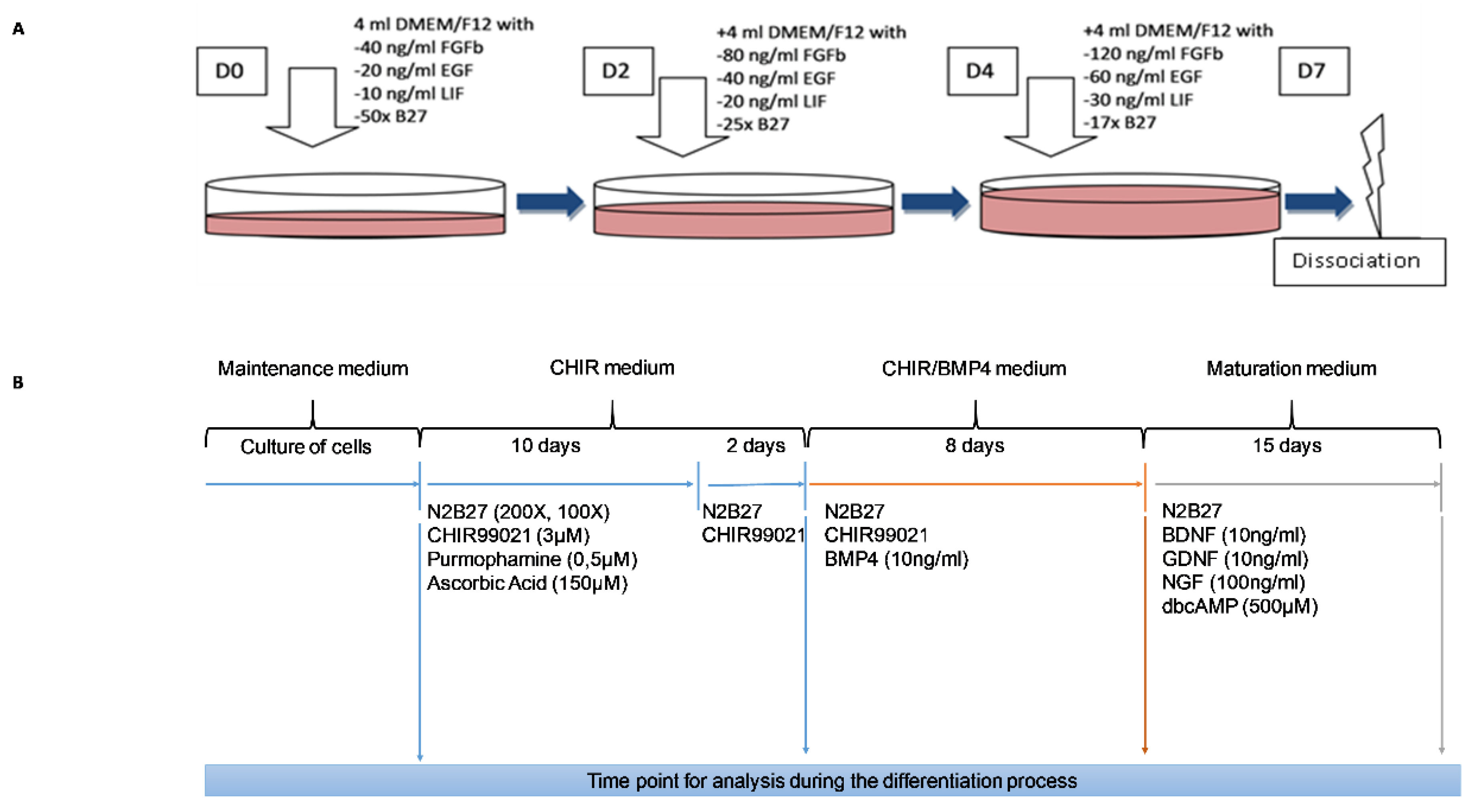 Cells 09 01000 g001 Cells 09 01000 g001