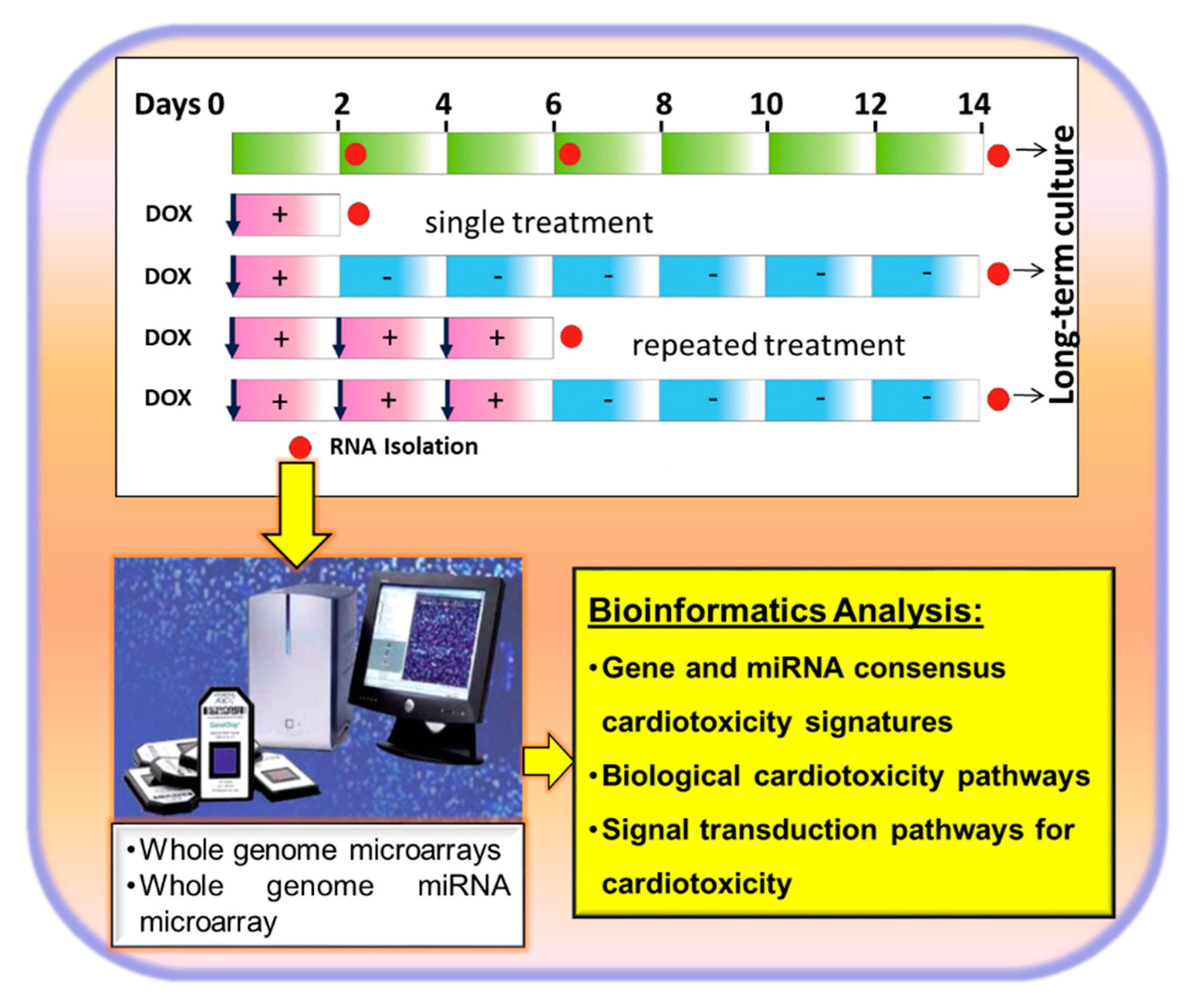 Cells 09 01001 g002 Cells 09 01001 g002