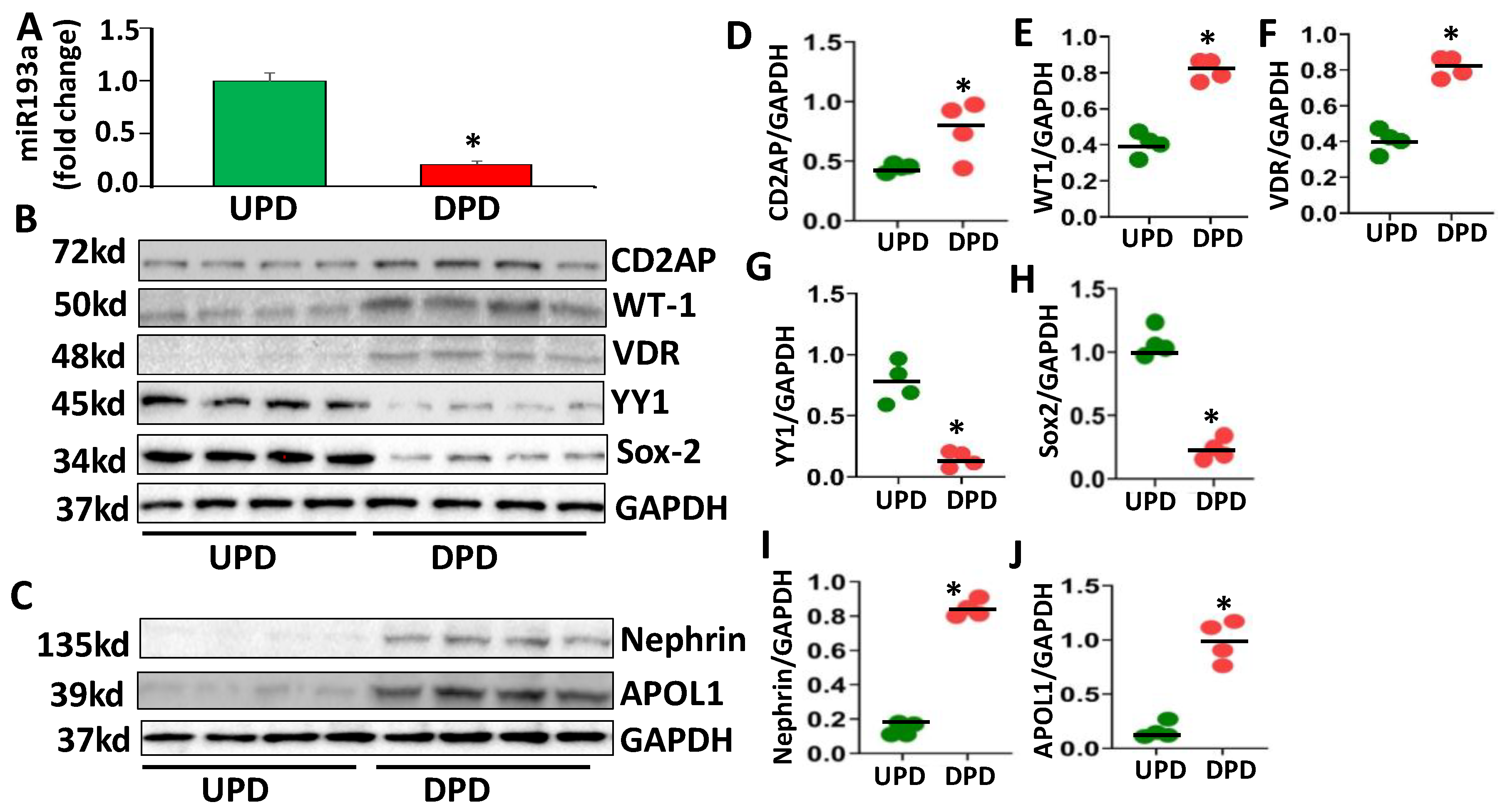 Cells 09 01004 g001 Cells 09 01004 g001