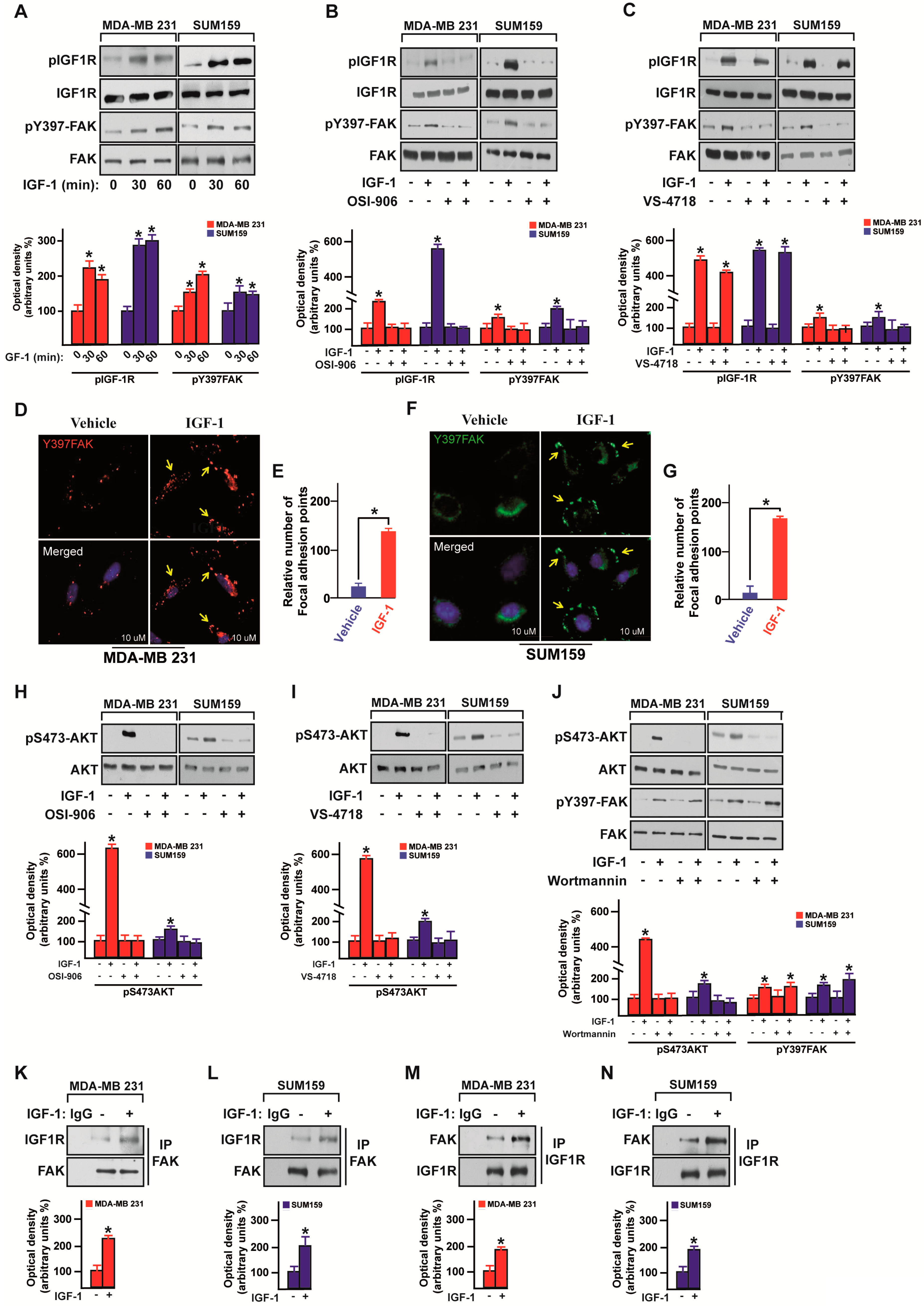 Cells 09 01010 g003 Cells 09 01010 g003