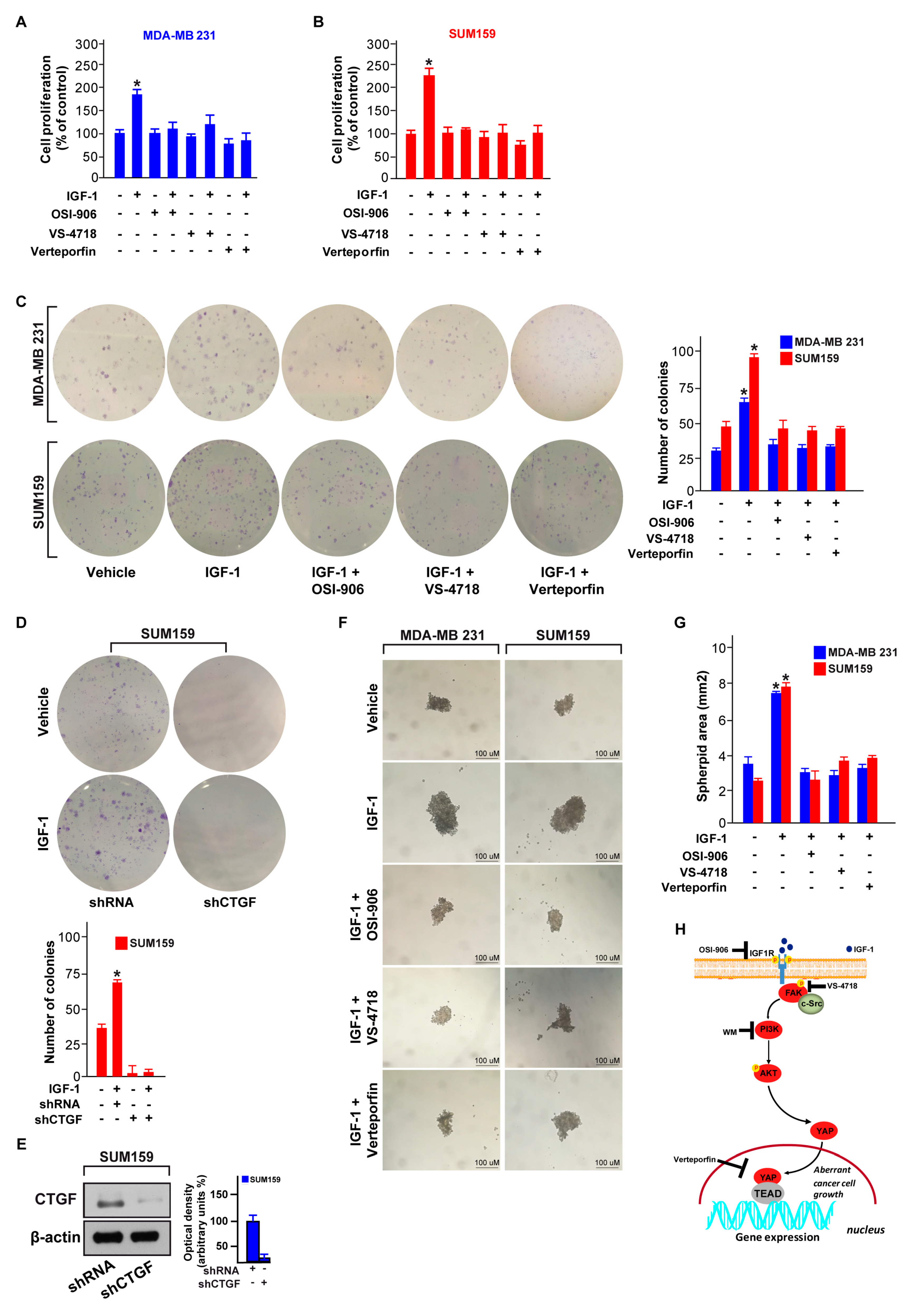 Cells 09 01010 g007 Cells 09 01010 g007
