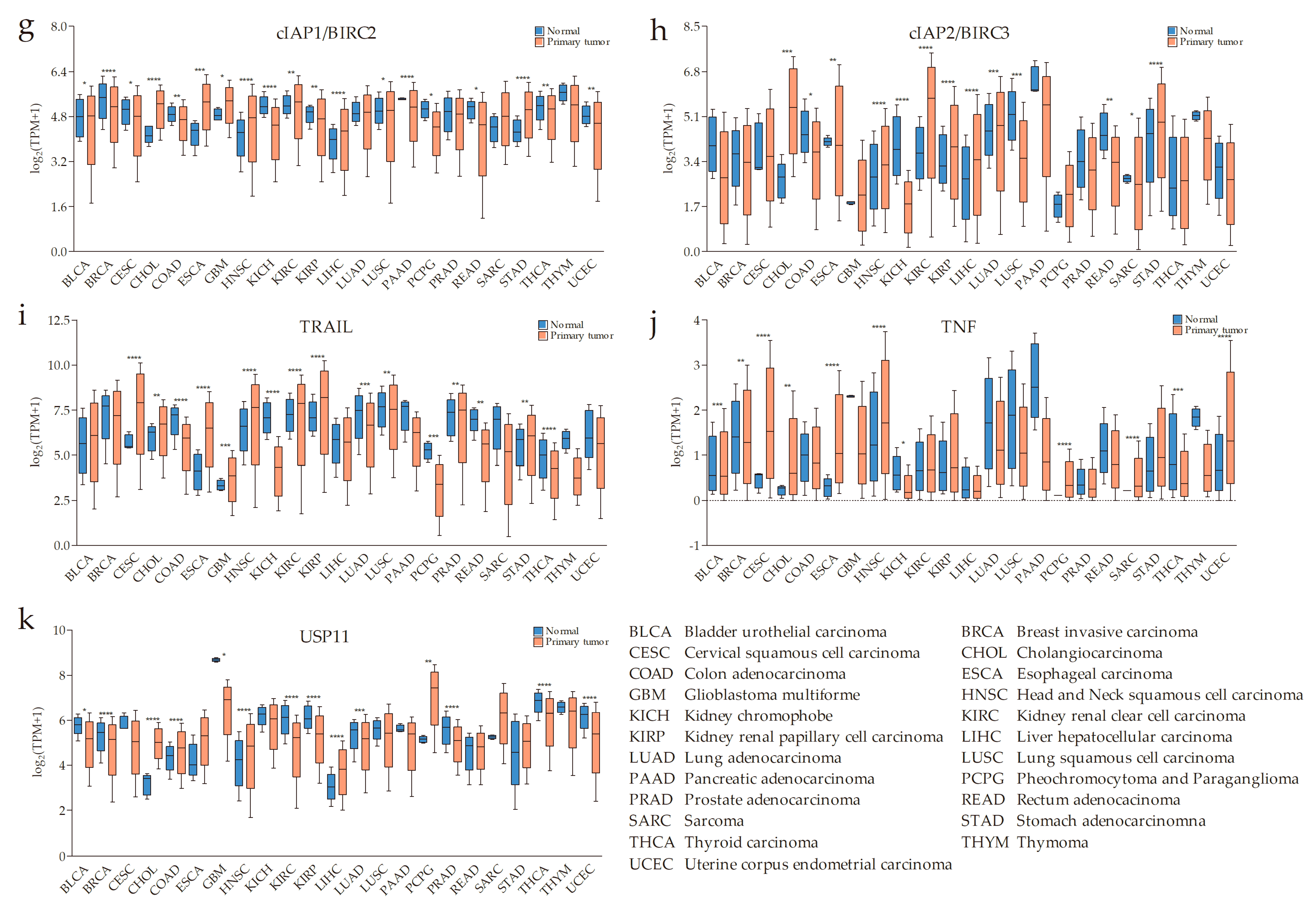 Cells 09 01012 g001b