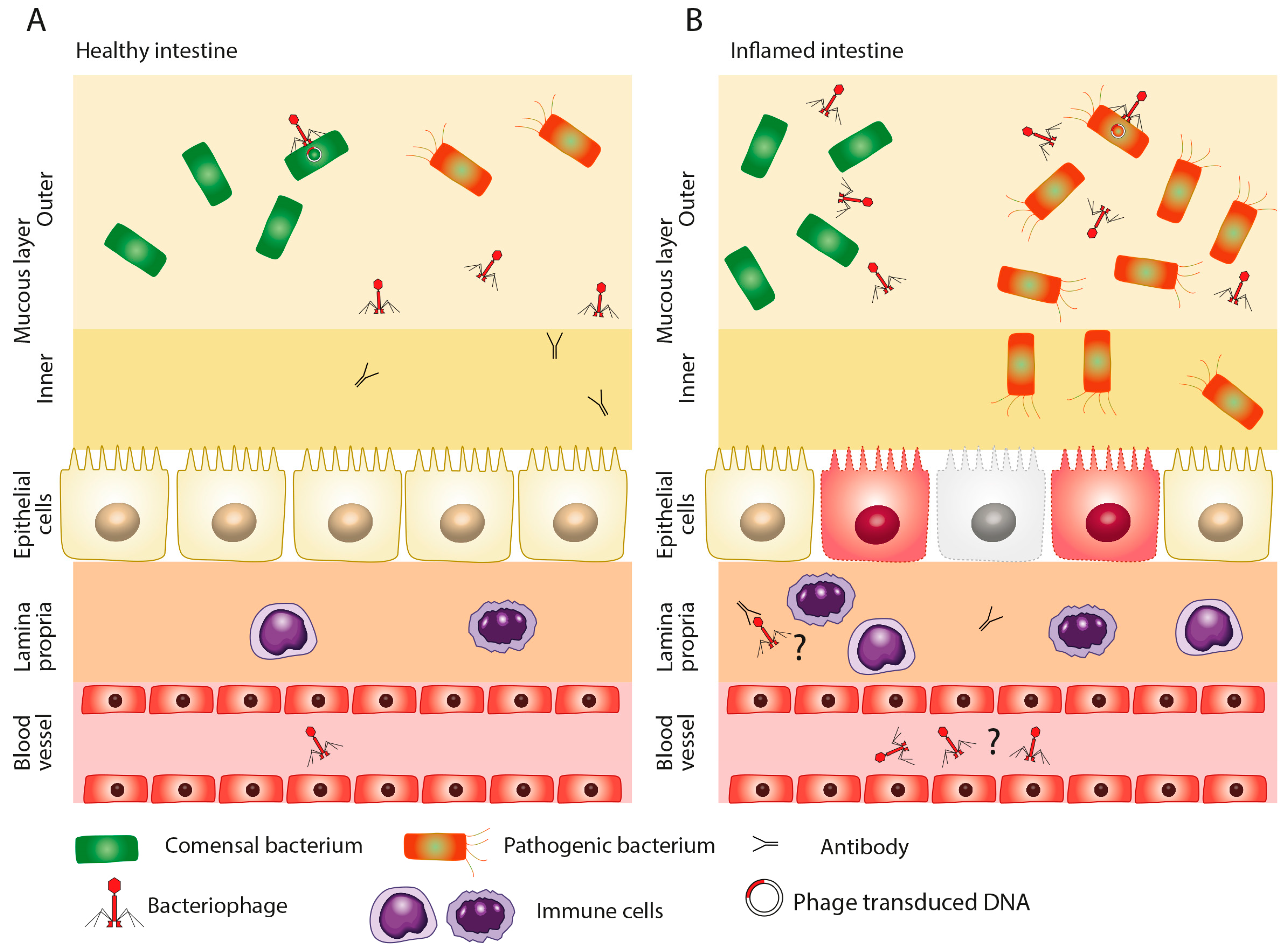 Cells 09 01013 g003 Cells 09 01013 g003