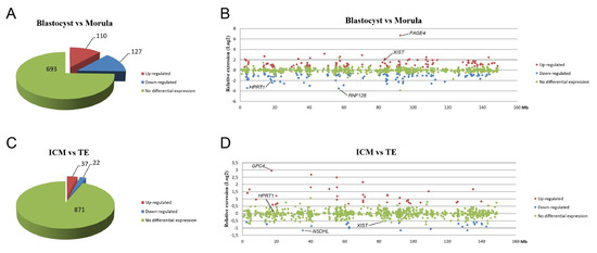 Cells | Free Full-Text | Initiation of X Chromosome Inactivation during