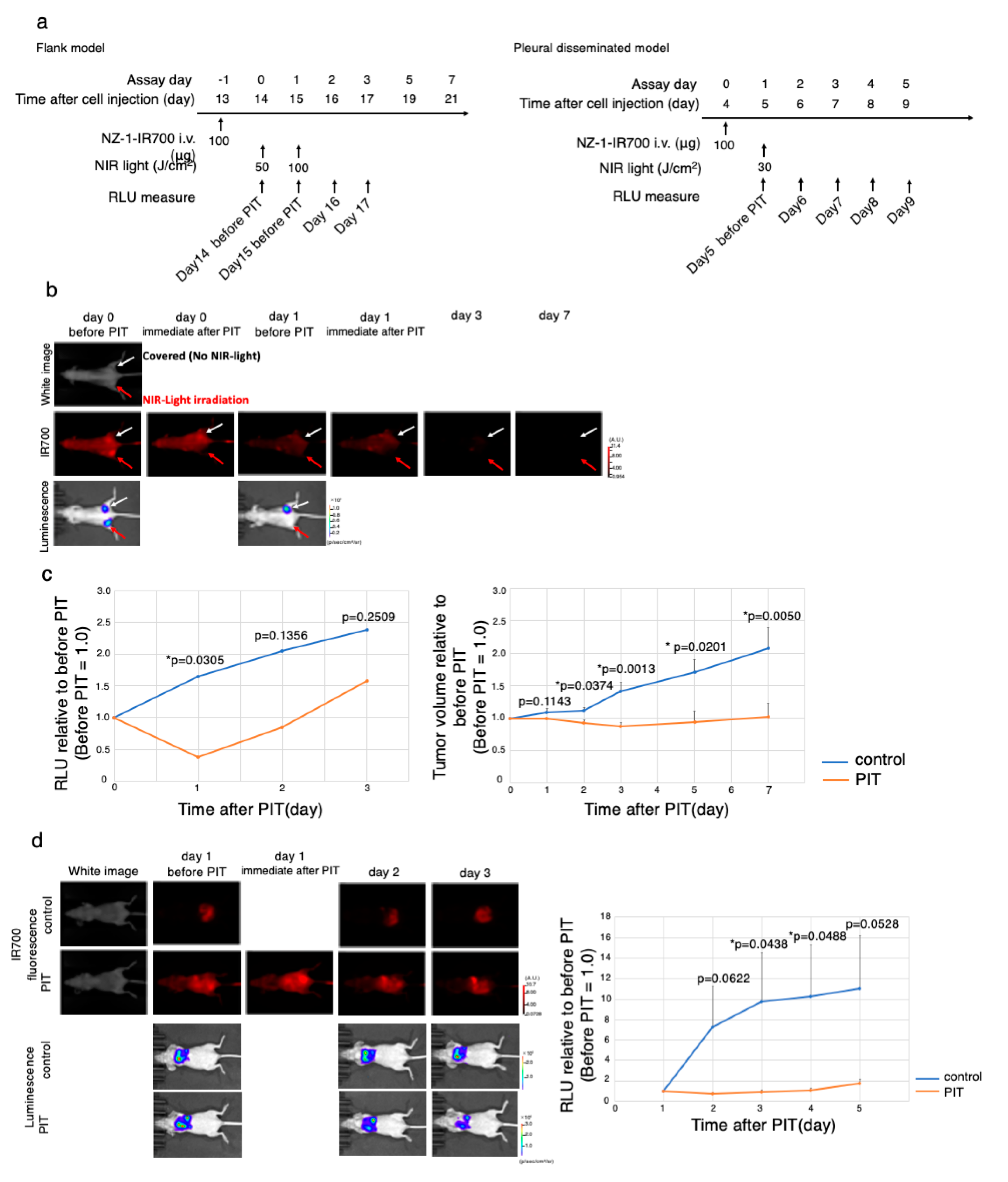 Cells 09 01019 g005