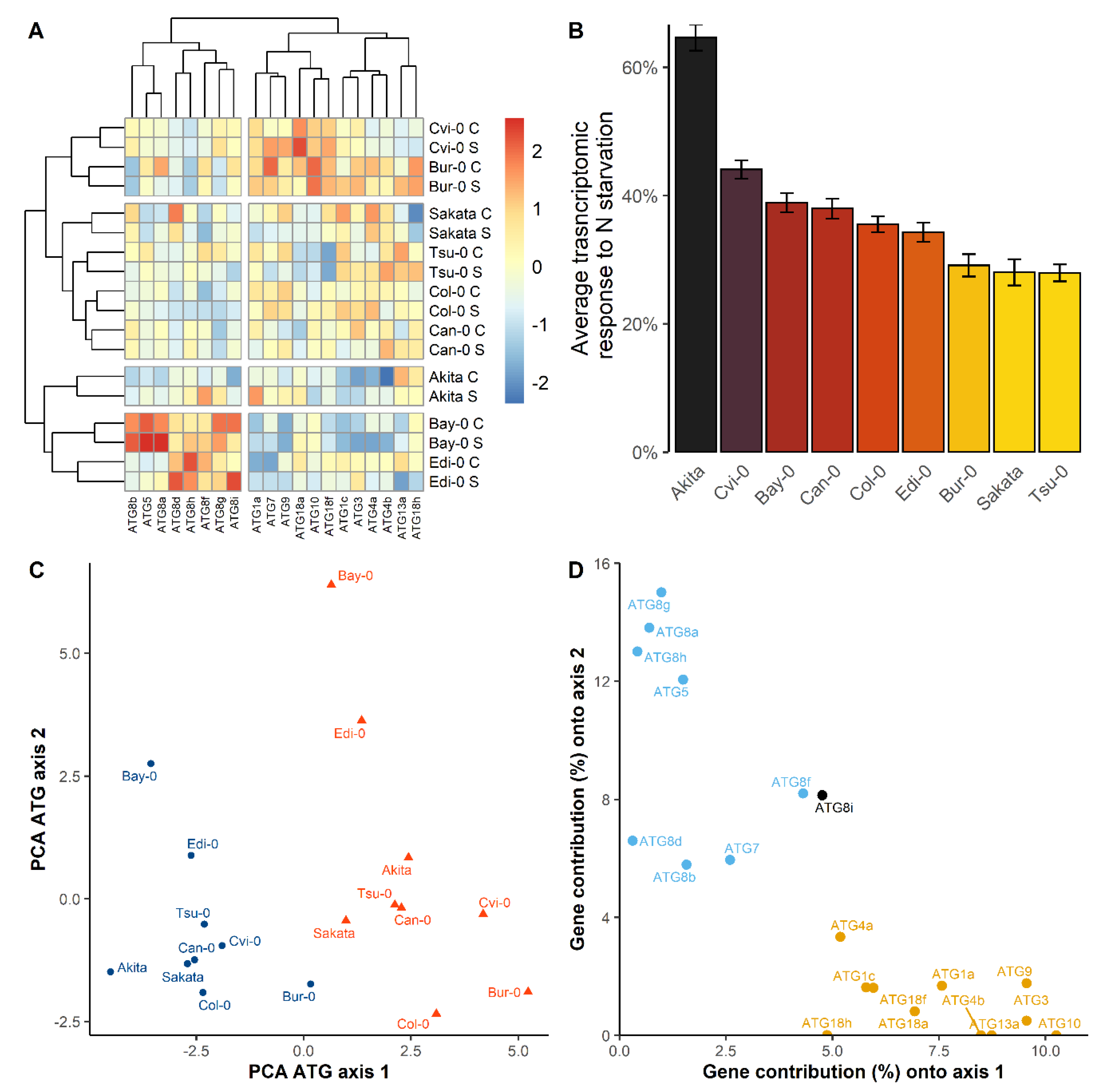 Cells Free Full Text Transcriptional Plasticity Of Autophagy Related Genes Correlates With The Genetic Response To Nitrate Starvation In Arabidopsis Thaliana Html Cells Free Full Text Transcriptional Plasticity Of Autophagy Related Genes Correlates With The Genetic Response To Nitrate Starvation In Arabidopsis Thaliana Html