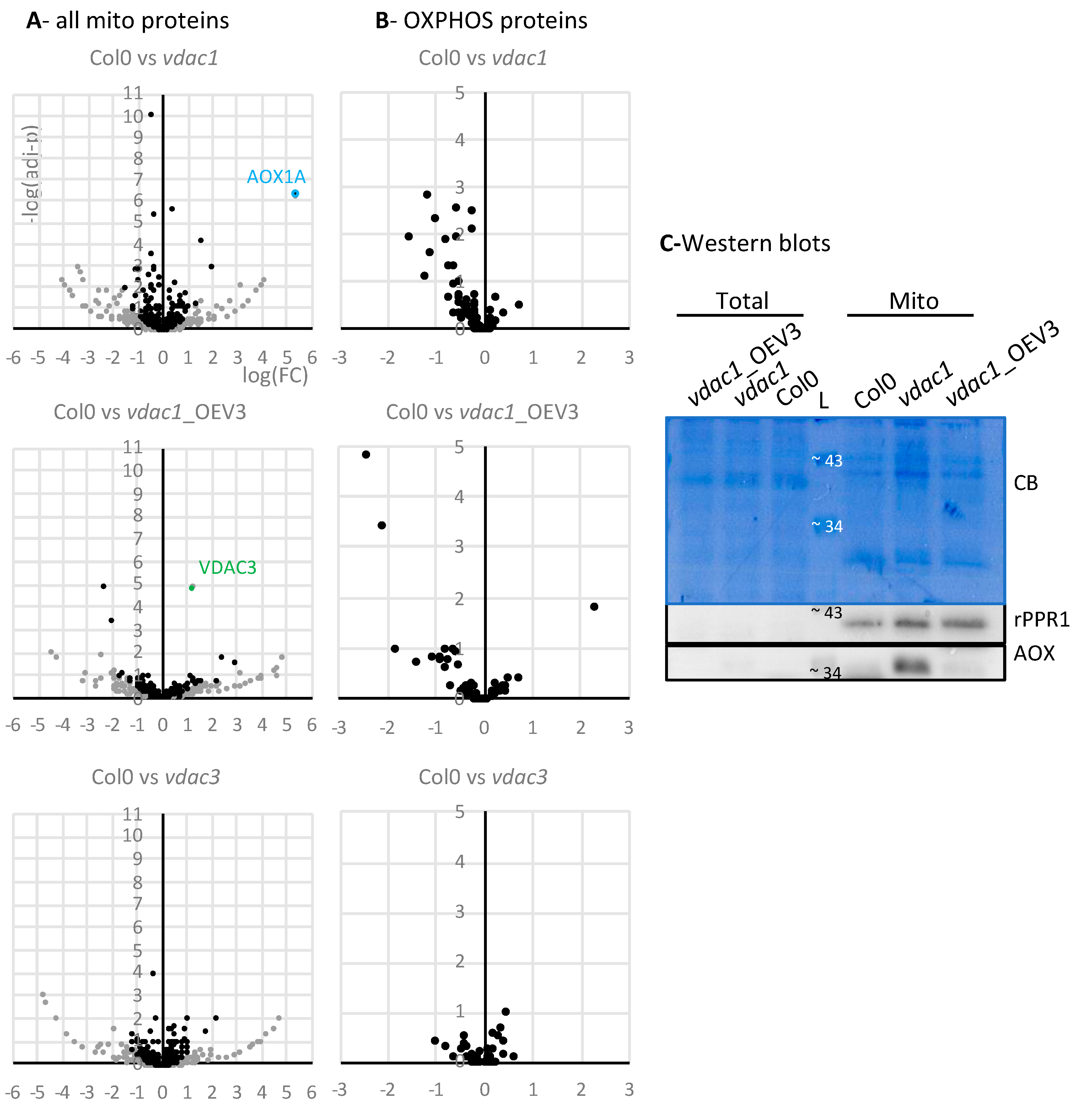 Cells 09 01023 g004 Cells 09 01023 g004