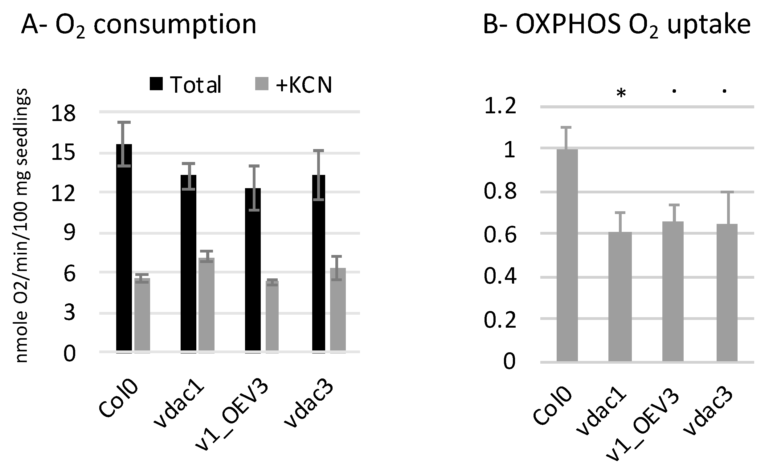 Cells 09 01023 g005 Cells 09 01023 g005